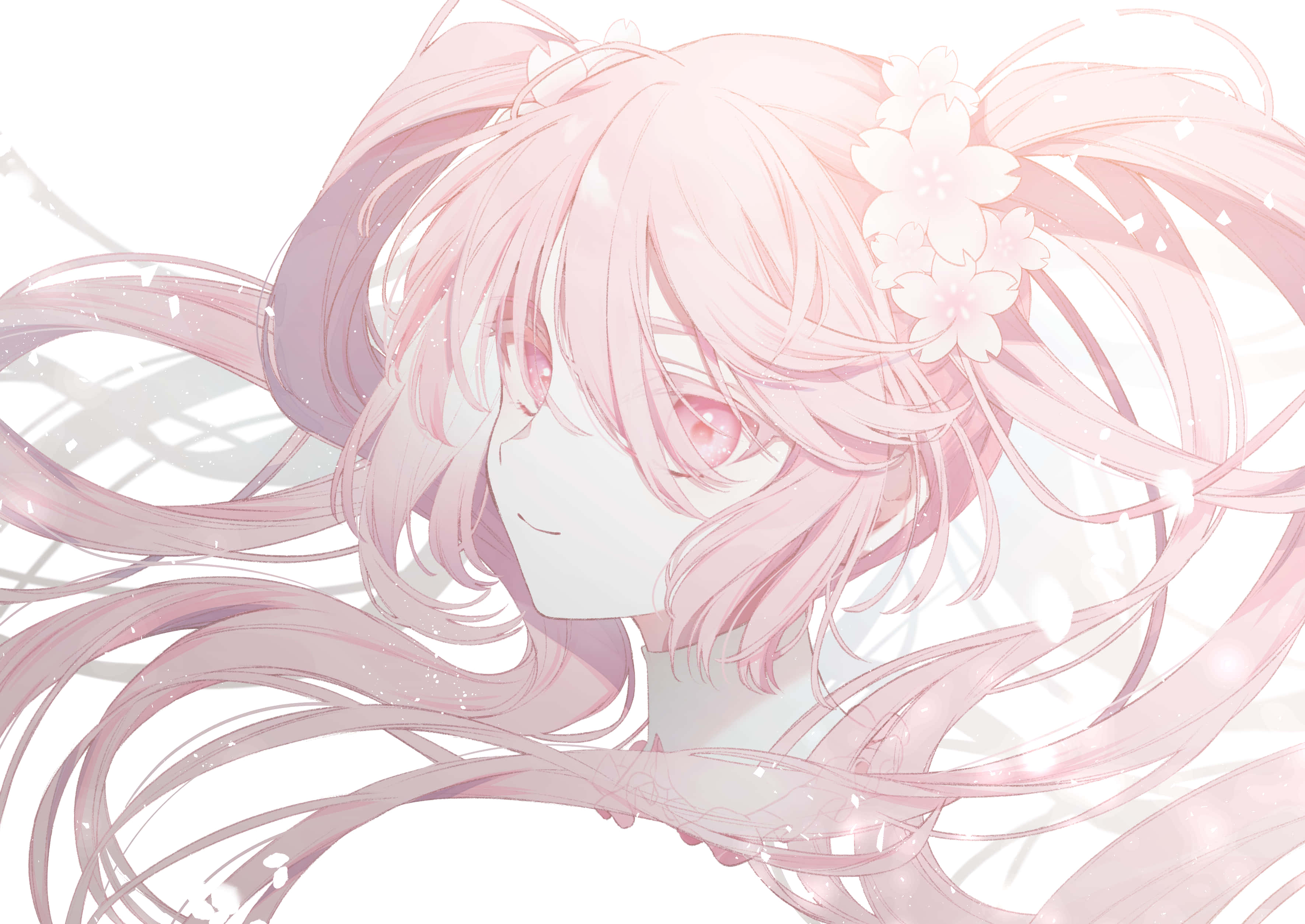 Geniet die pragtige kersiebloeiselblare saam met Sakura Miku Muurpapier