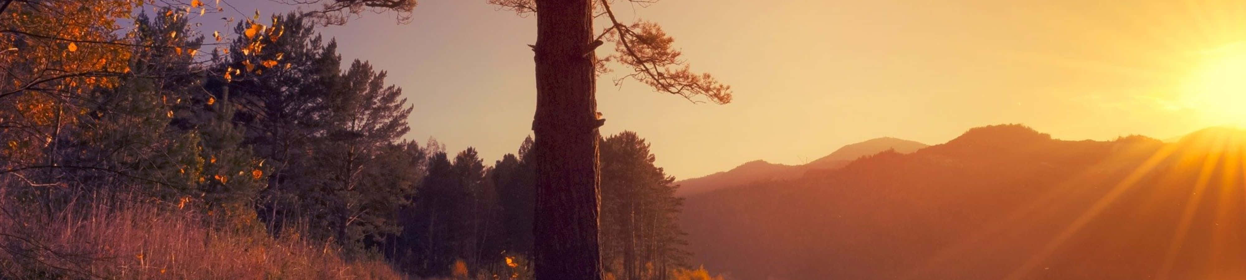 Geniet die skoonheid van die natuur Muurpapier