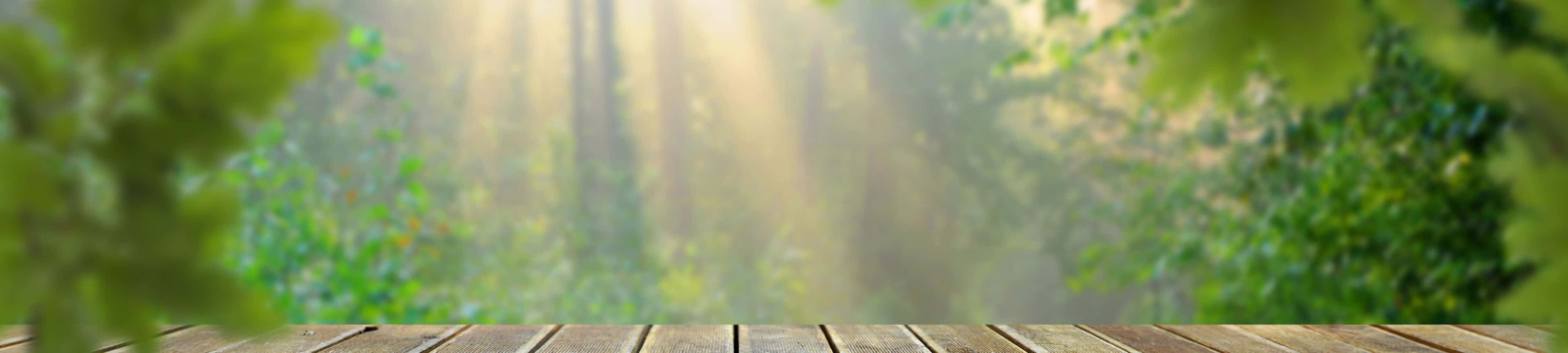 Geniet die skoonheid van die natuur Muurpapier