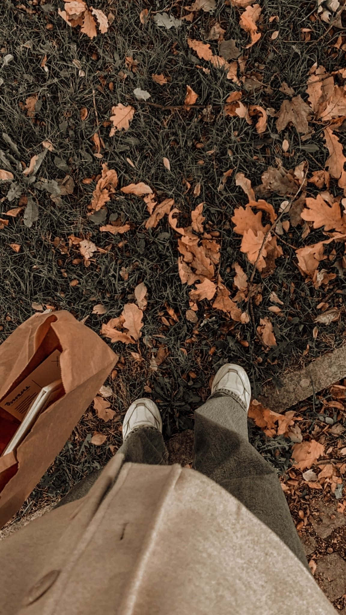 Geniet die warm, kalmerende effek van Aesthetic Brown Muurpapier