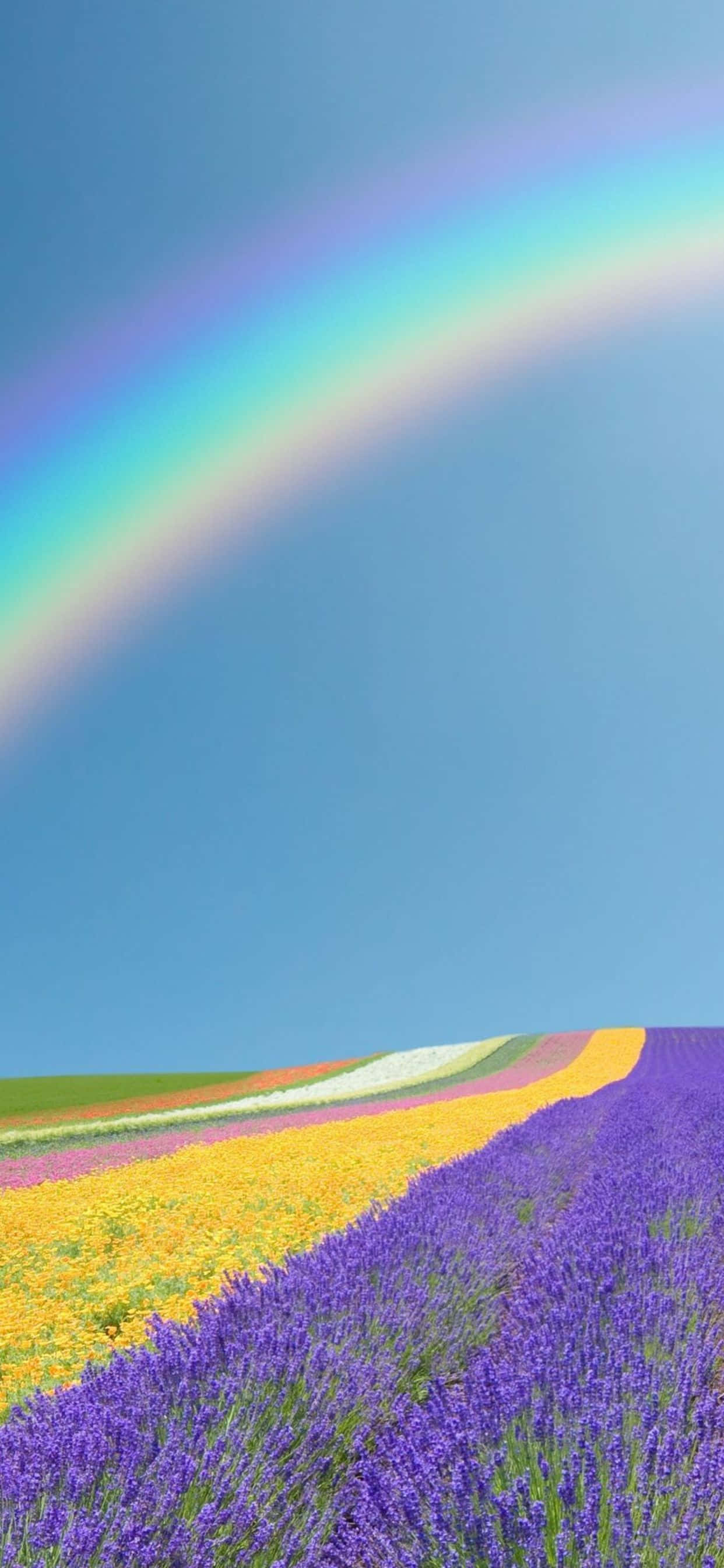 Geniet 'n Pragtige Lente met die Google Pixel 3 Muurpapier