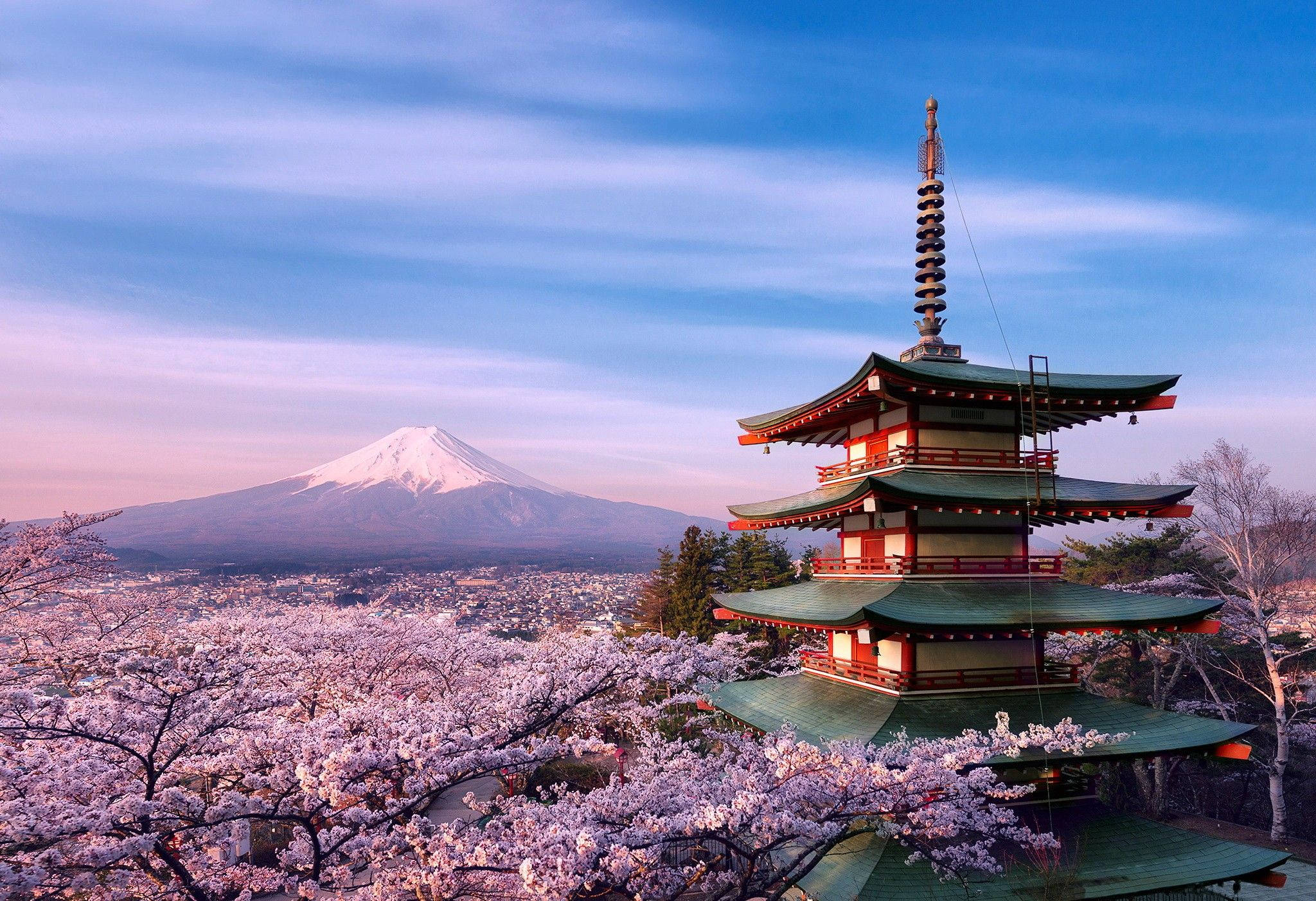Geniet 'n pragtige kersiebloeisel-uitsig in Japan Muurpapier