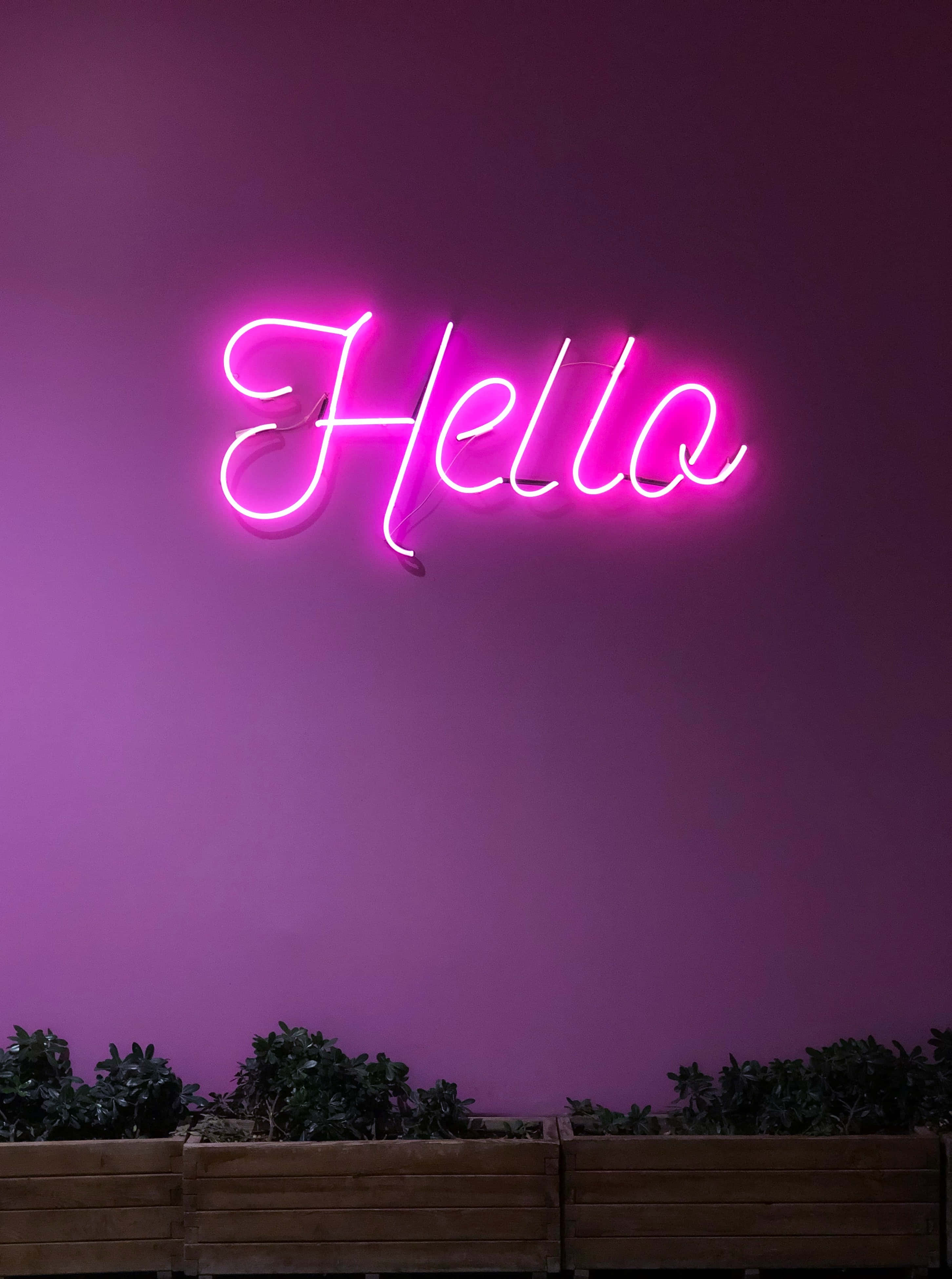 "Geniet 'n Unieke Kleurvolle Ervaring met Pers Neon" Muurpapier