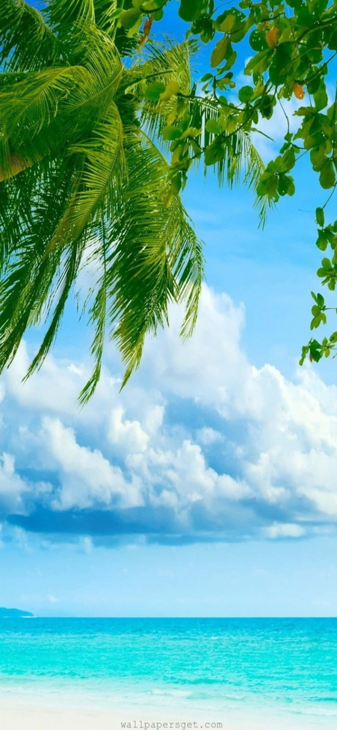 Geniet die skoonheid van 'n strand met jou iPhone Xs Muurpapier