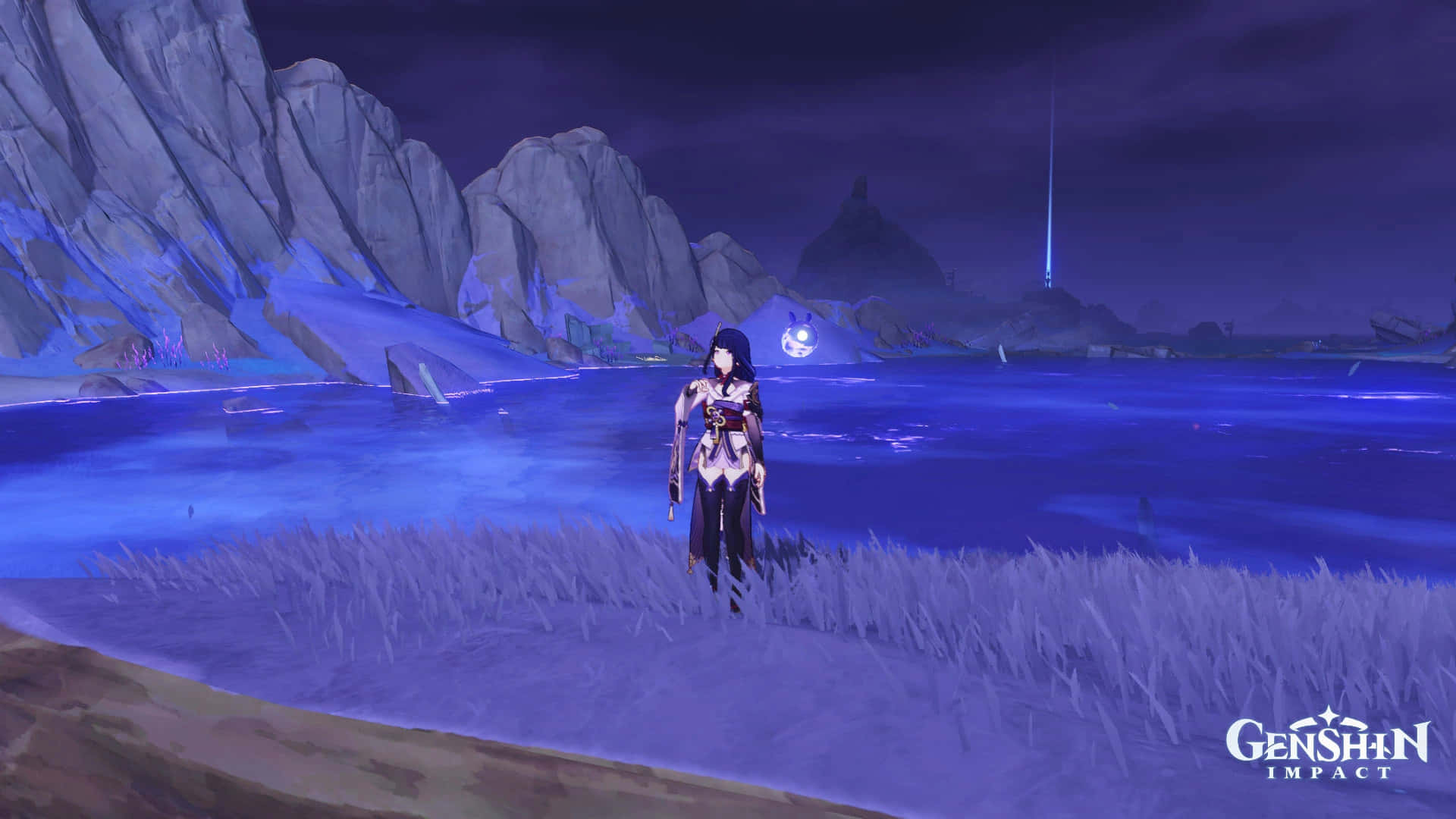 Genshin Impact Raiden Shogun op Seirai-eiland Prent Muurpapier