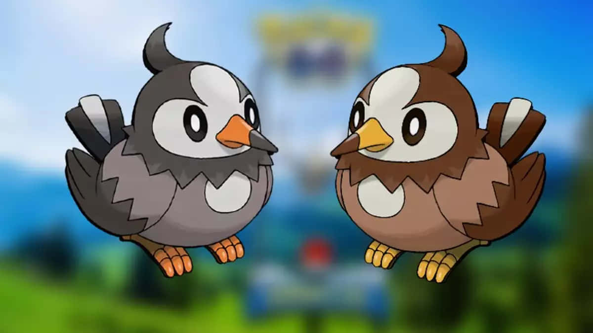 Gewone en Glansende Starly Muurpapier