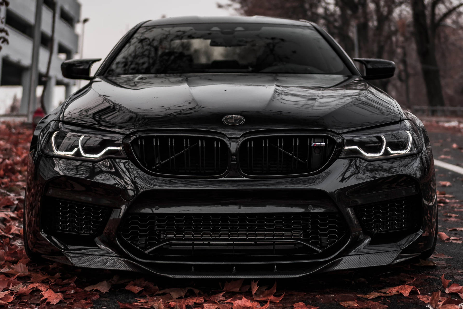 Glansende Swart M5 BMW Skootrekenaar — Motor GIF Muurpapier