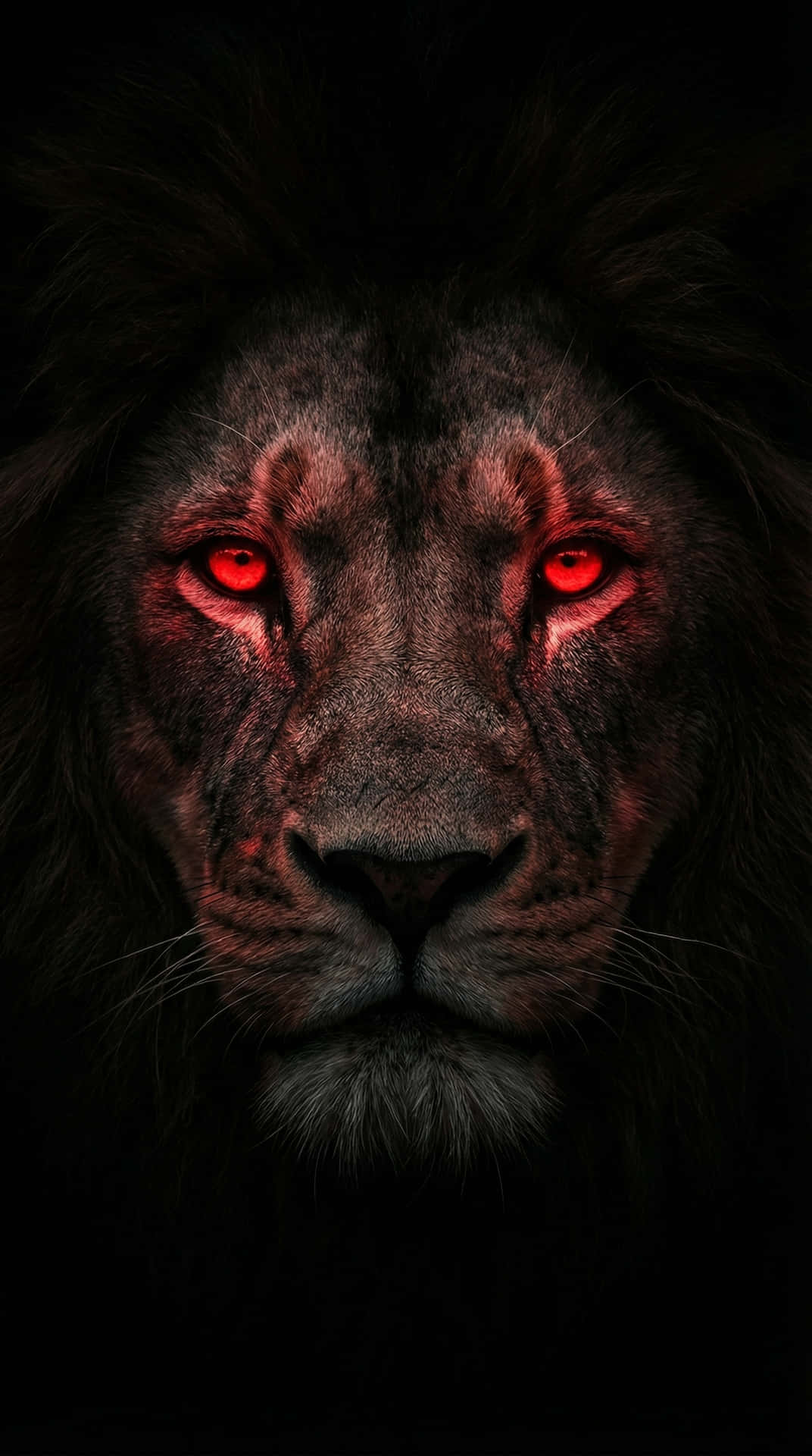 Gloeiende Rooi Oë,Leeu,Lion King,Donker,Donker 4K,Rooi Oë,donker leeu,fantasie leeu,foonagtergrond,donker estetika,Dier — Donker estetiese GIF Muurpapier