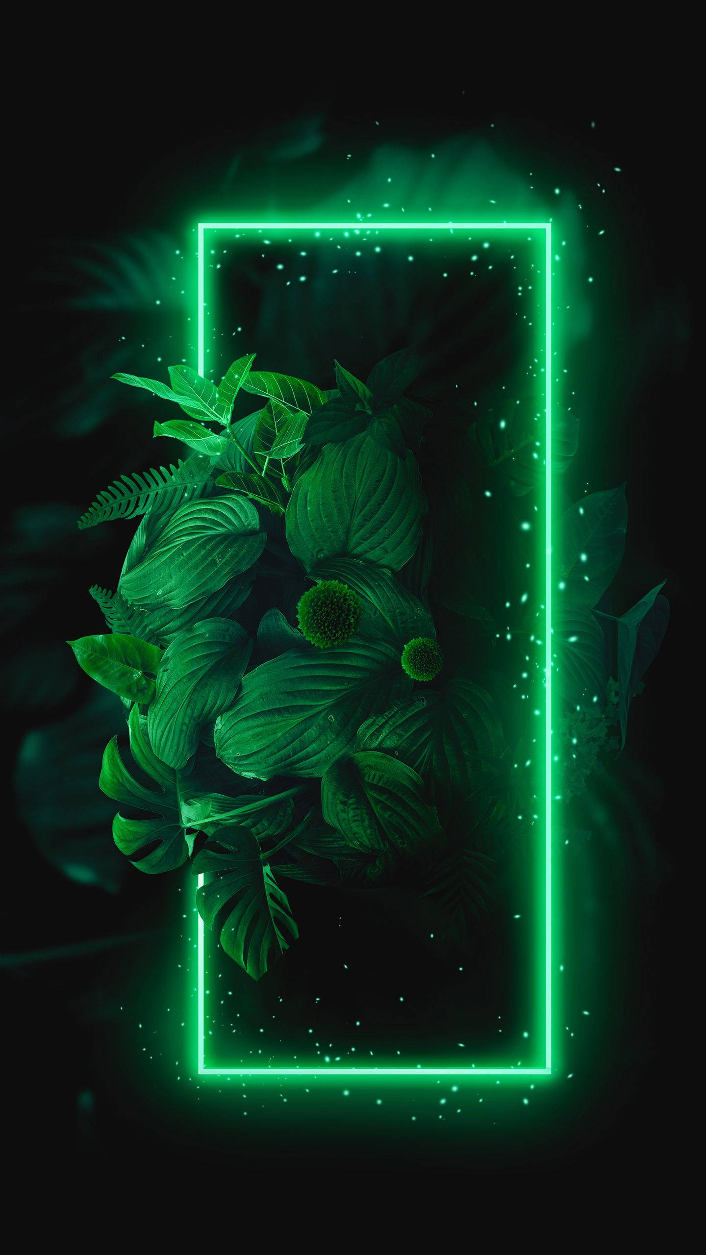 Glowende Raam Met Plante Groen iPhone Muurpapier