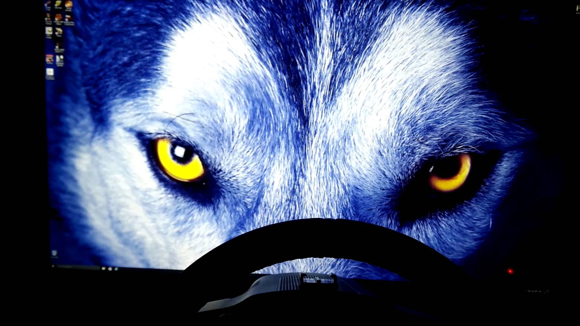 Wolf se geel skerp oë en blou pels, nabyfoto, rekenaar se agtergrond.