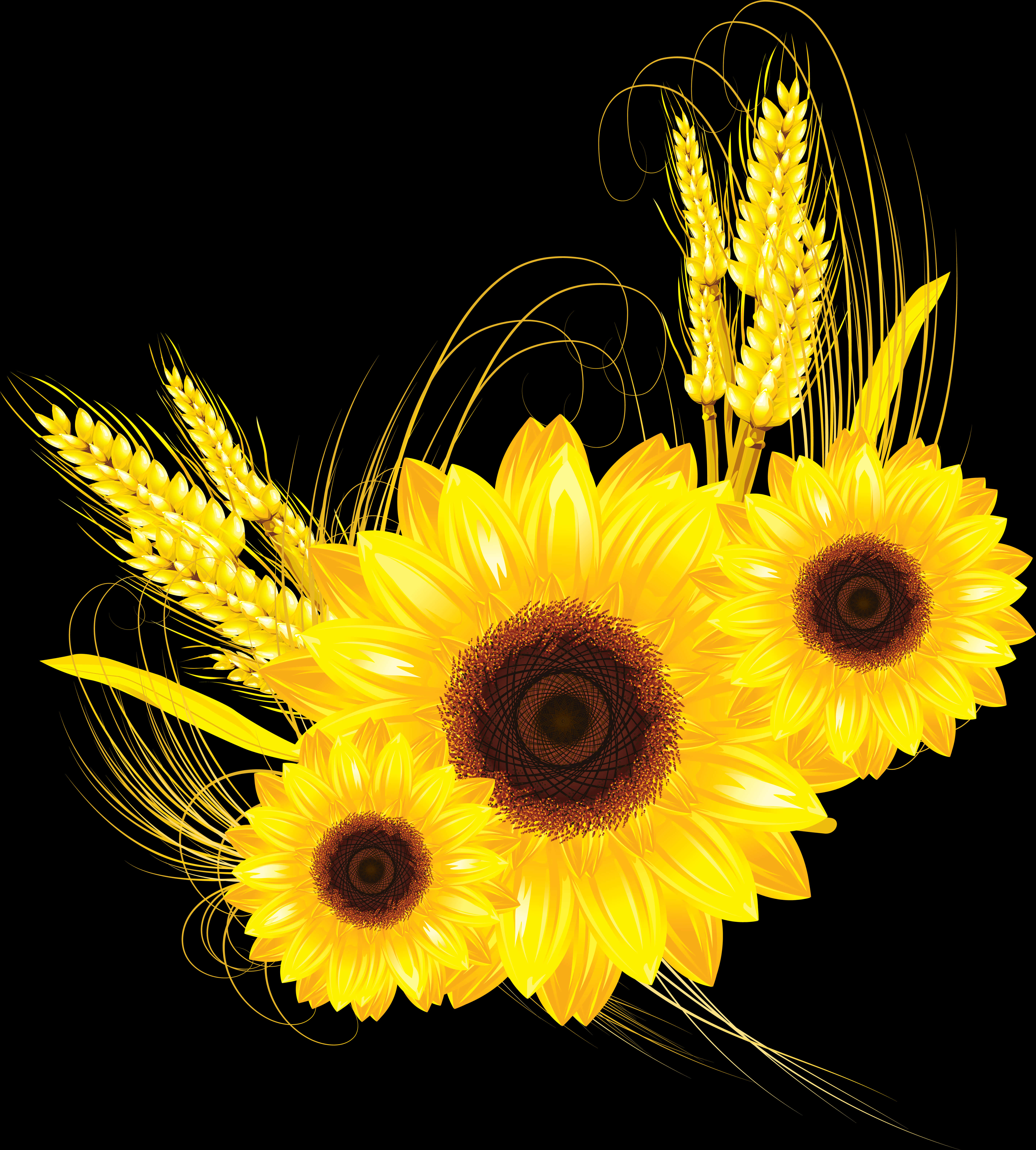 Goue Sonneblomme en Wheaton Swart Muurpapier