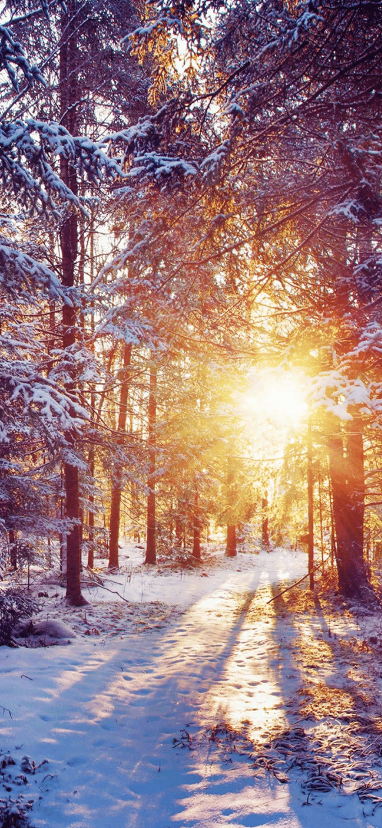Goue Uur iPhone XS Max Winter-agtergrond Muurpapier