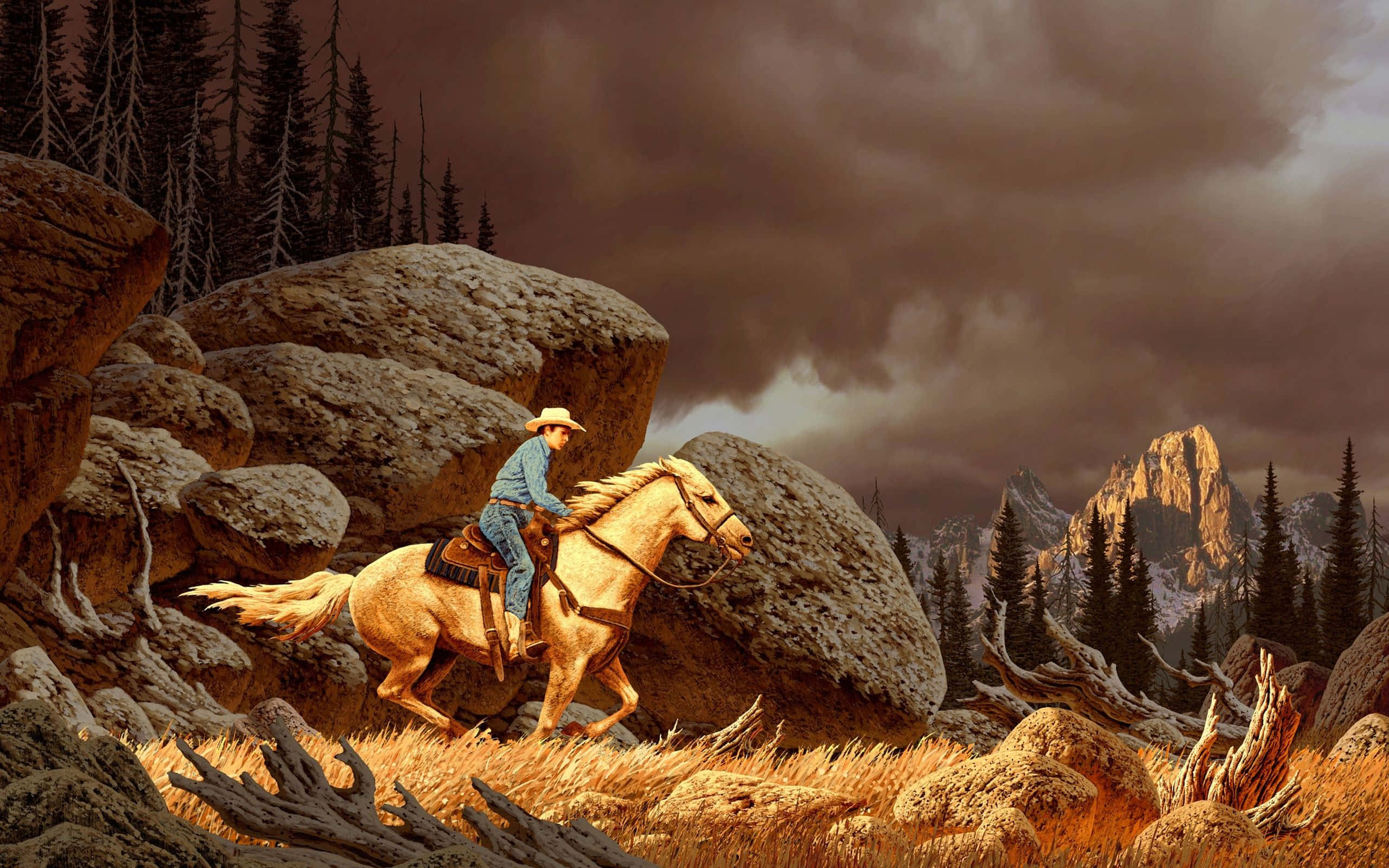 Grafiese Kuns Westerse Cowboy Lessenaar Muurpapier
