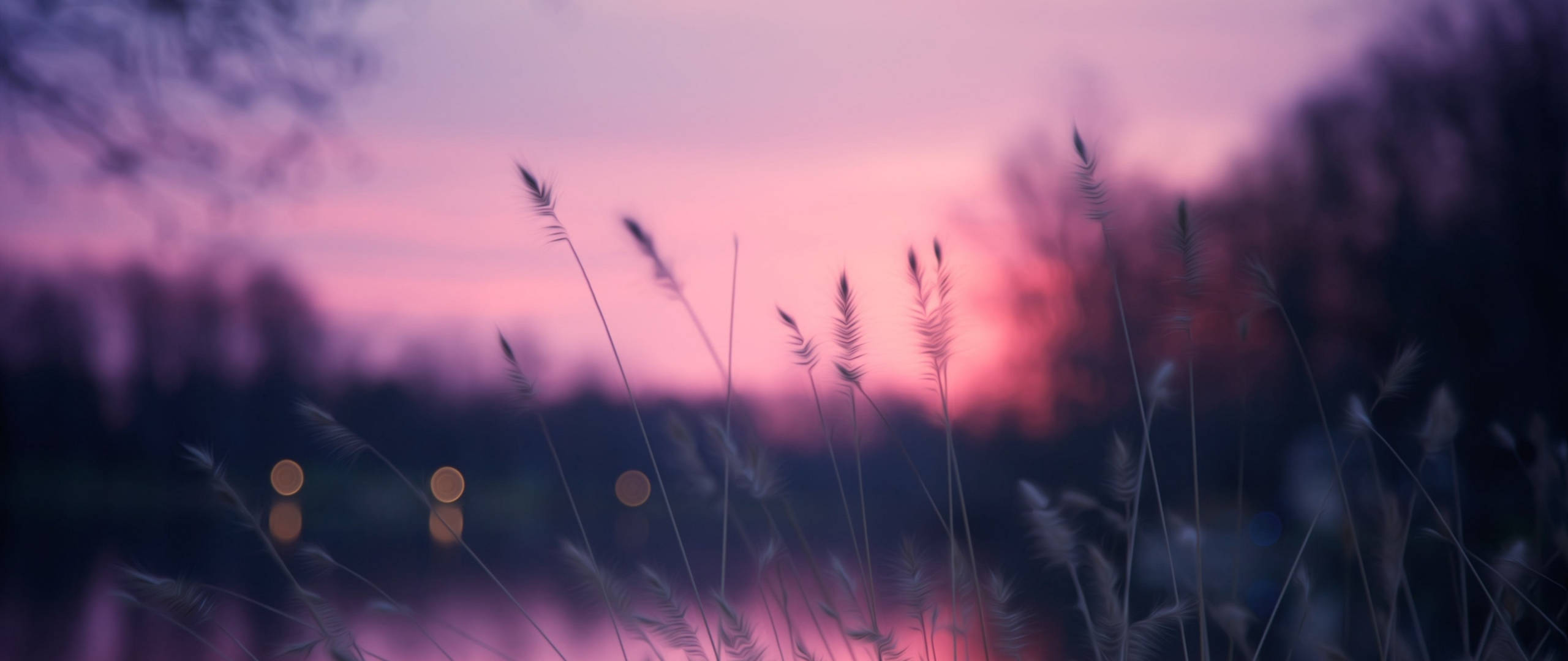 Gras onder Sonsonderglughemel Pinterest Skootrekenaar Muurpapier