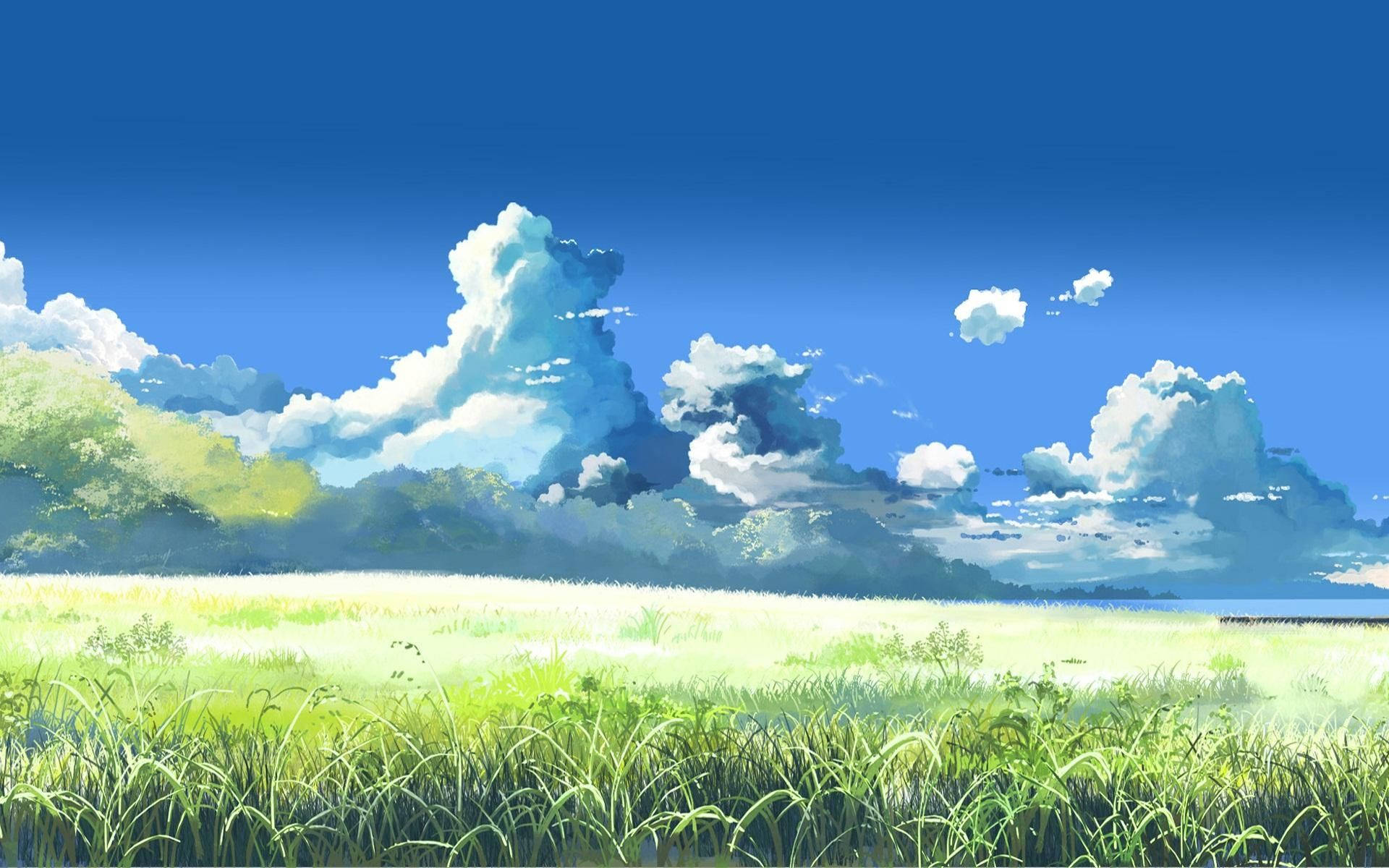 Grasveld Anime Landskap Muurpapier