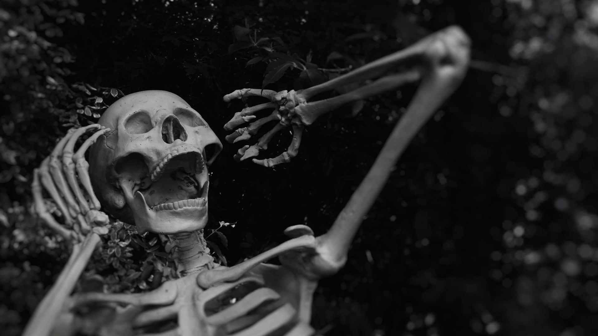 Griezelige Halloween Agtergrond Muurpapier