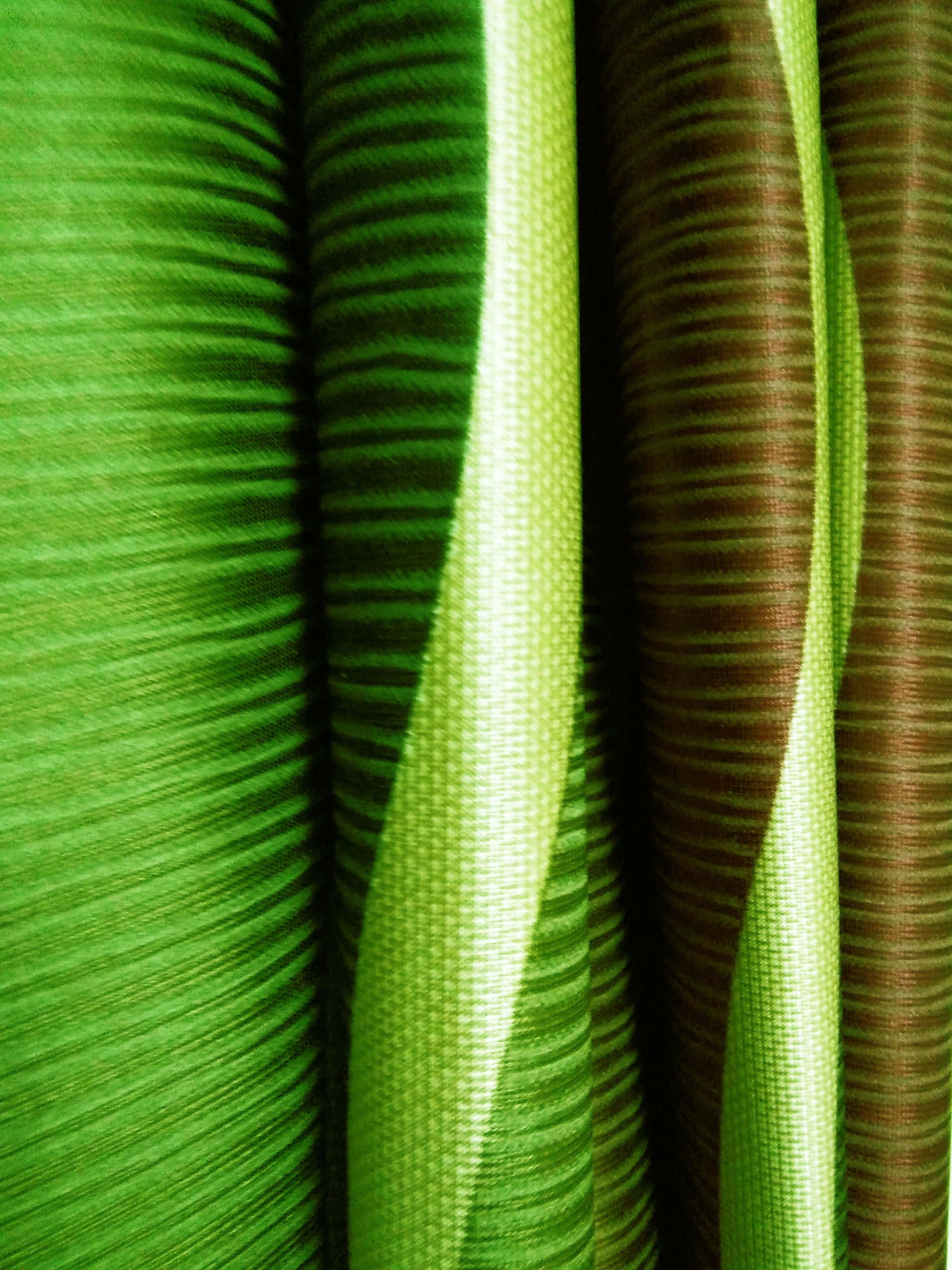 groen en bruin gordyne met 'n gestreepte patroon Muurpapier