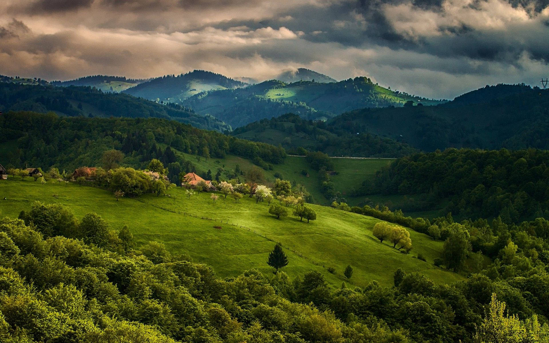 Groen Lugberge Muurpapier