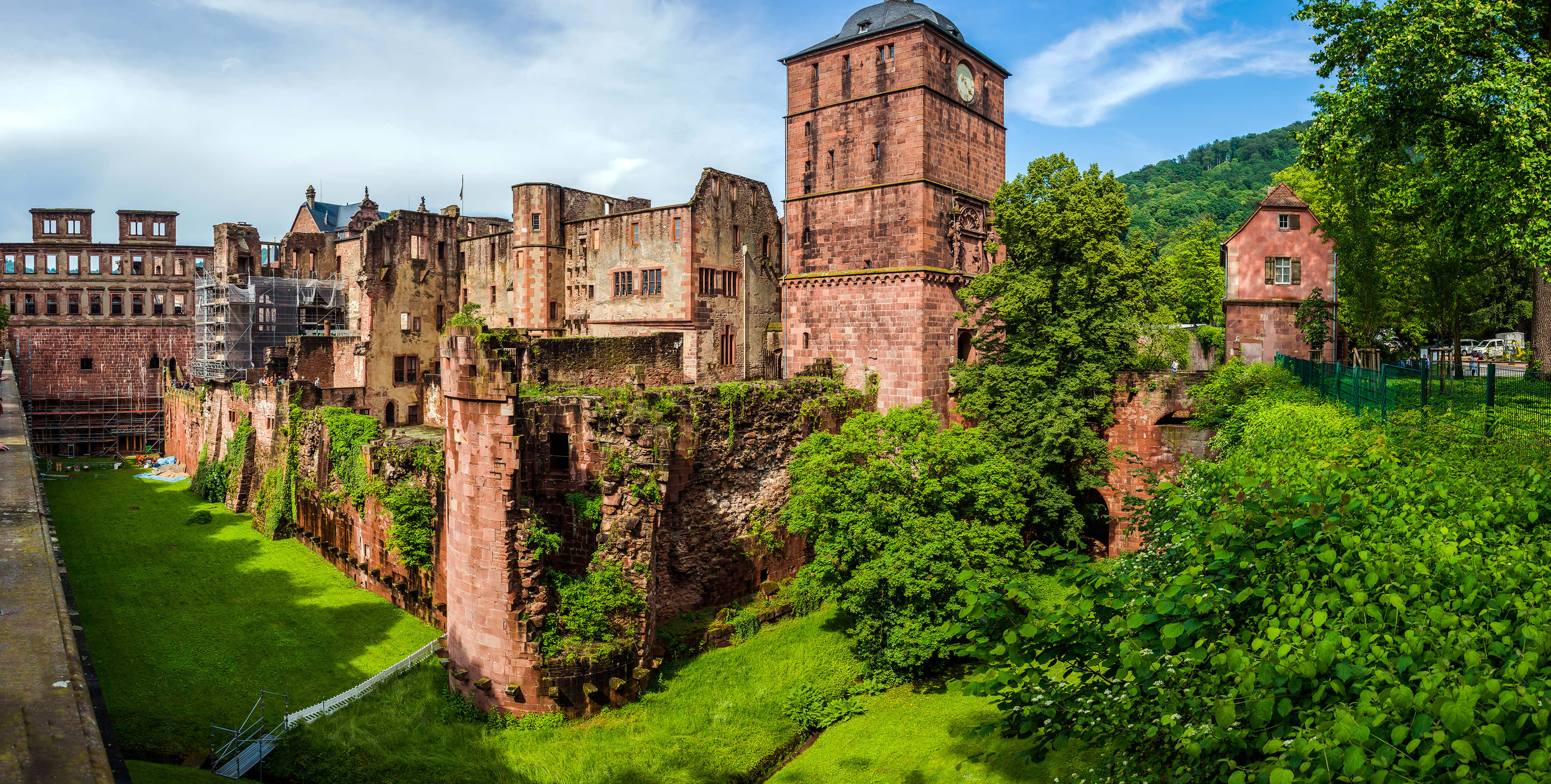 Groen Mos van Heidelberg Kasteel Muurpapier