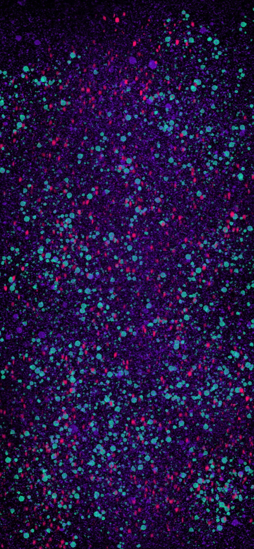 Groen Rood Violet Gespatte Verfkolle Muurpapier