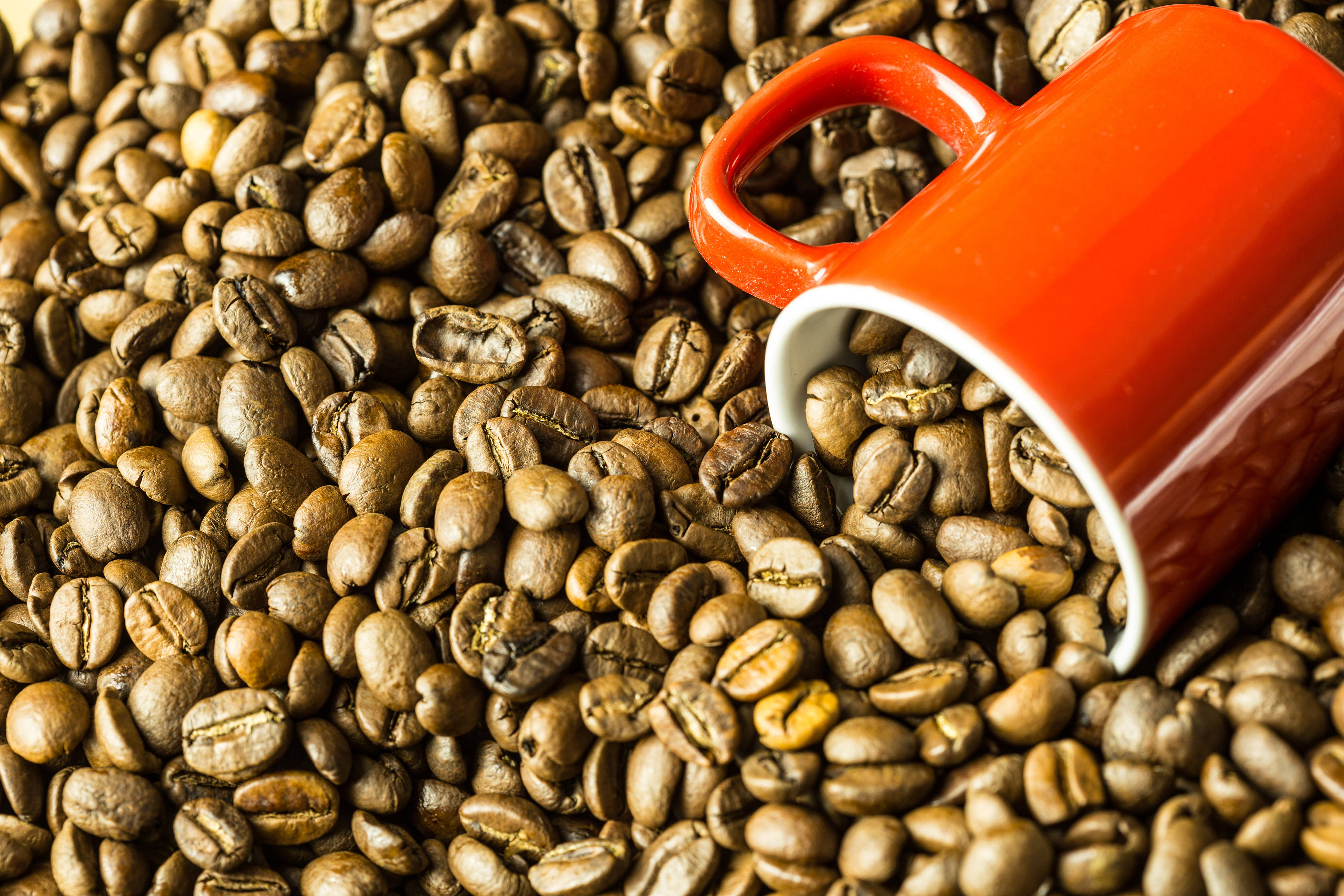 Groot Rooi Koppie Wat In Die Koffiebone Gedompel Is Muurpapier