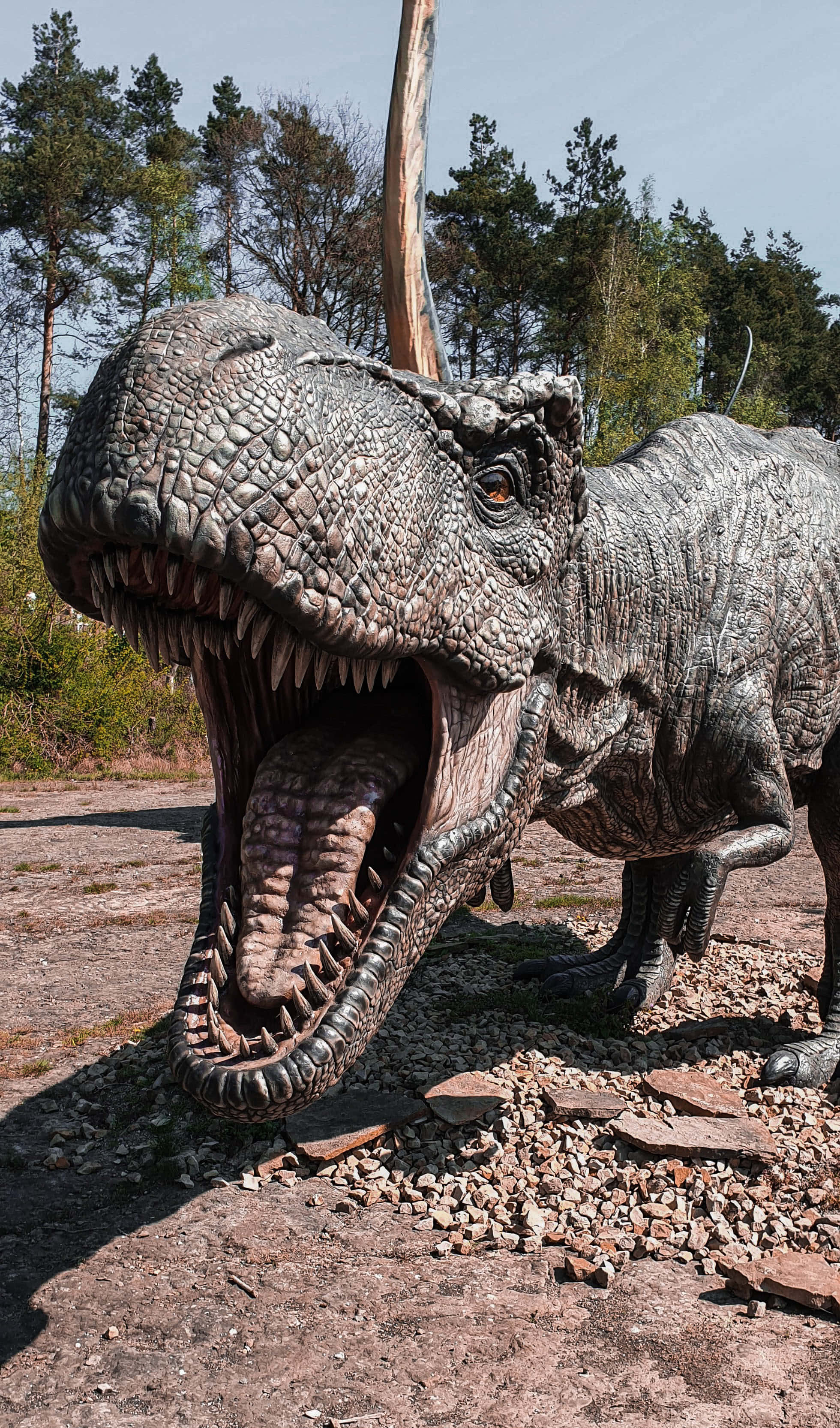 Grootsige Uitsig oor 'n Majestueuse Brachiosaurus Muurpapier
