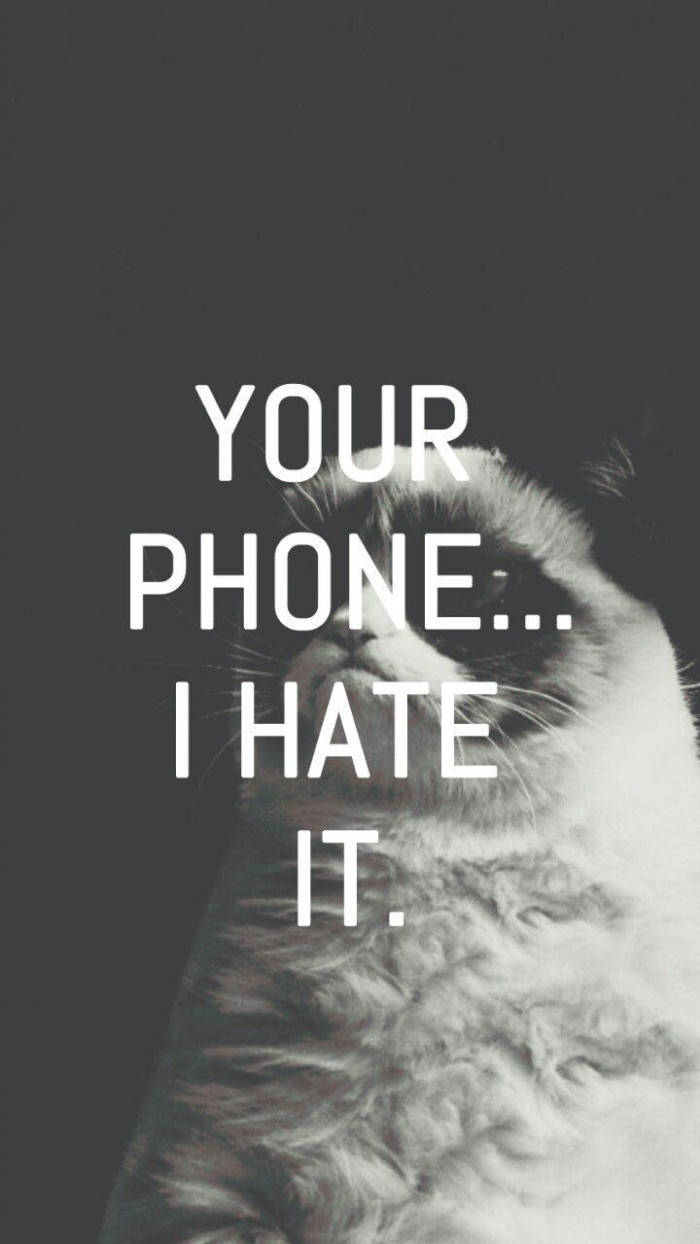 Grumpy Cat Funny Foon Muurpapier