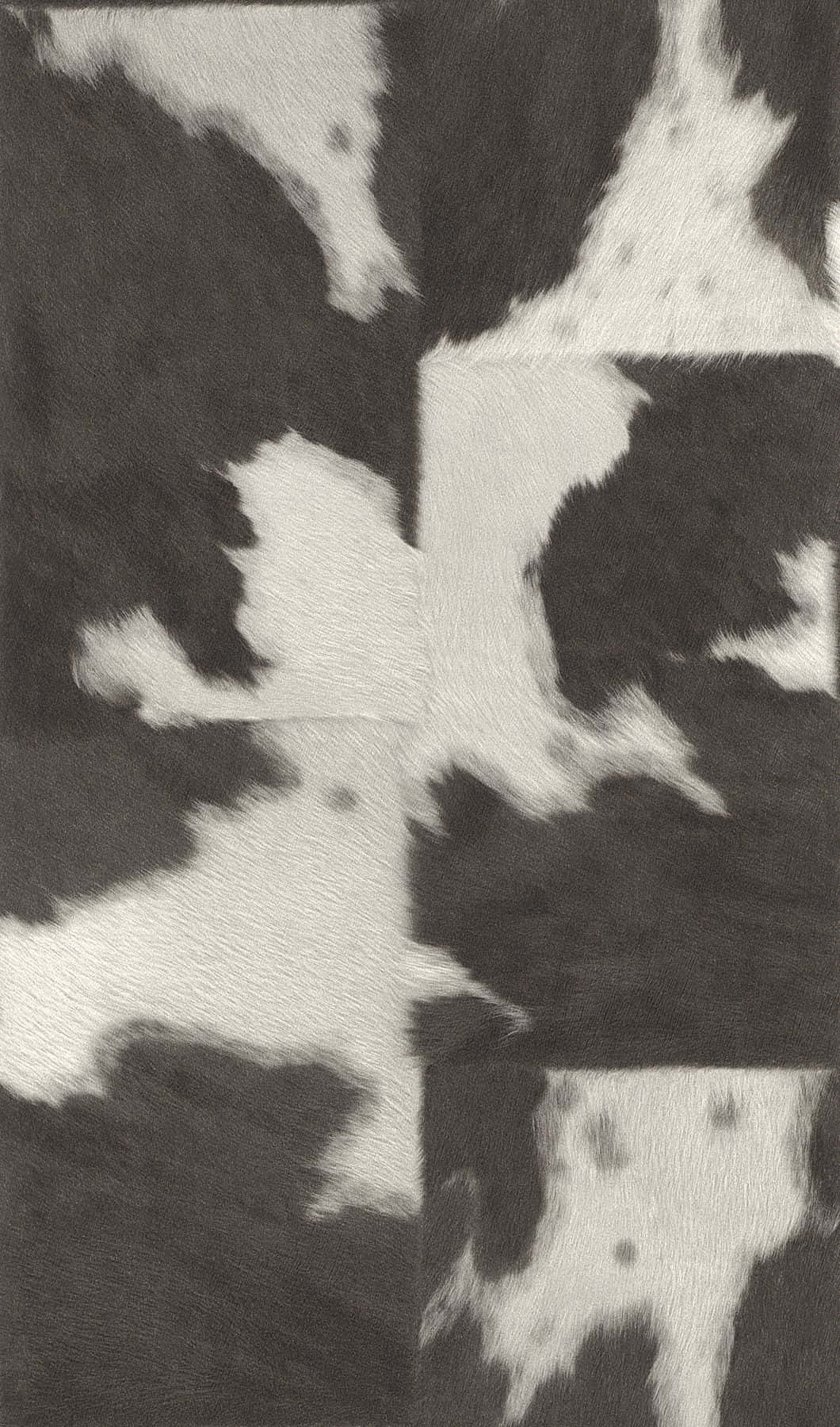 Grys En Wit Koeivel Agtergrond Muurpapier
