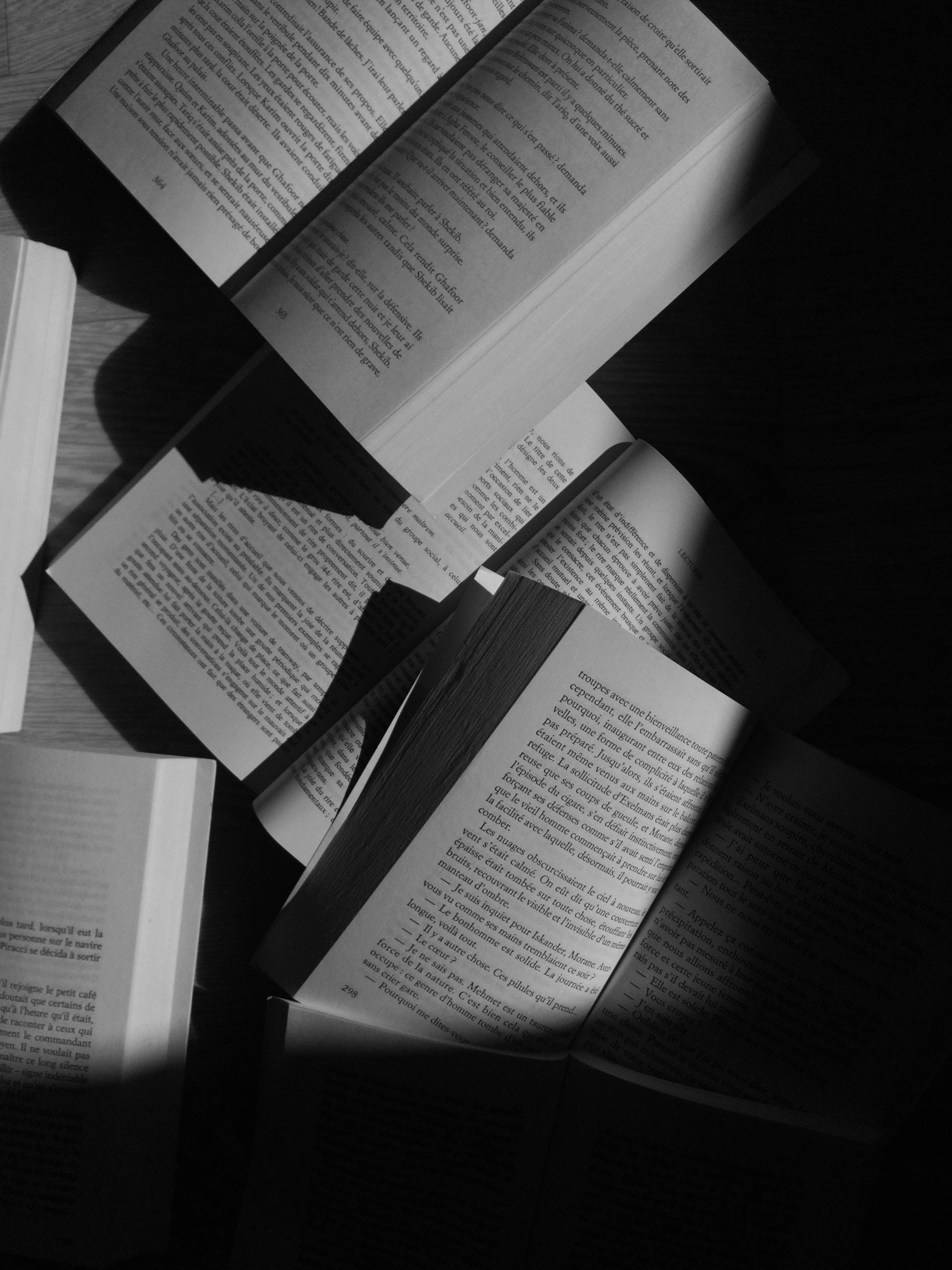 Grysgraad Estetiese Boek Lessenaar Muurpapier