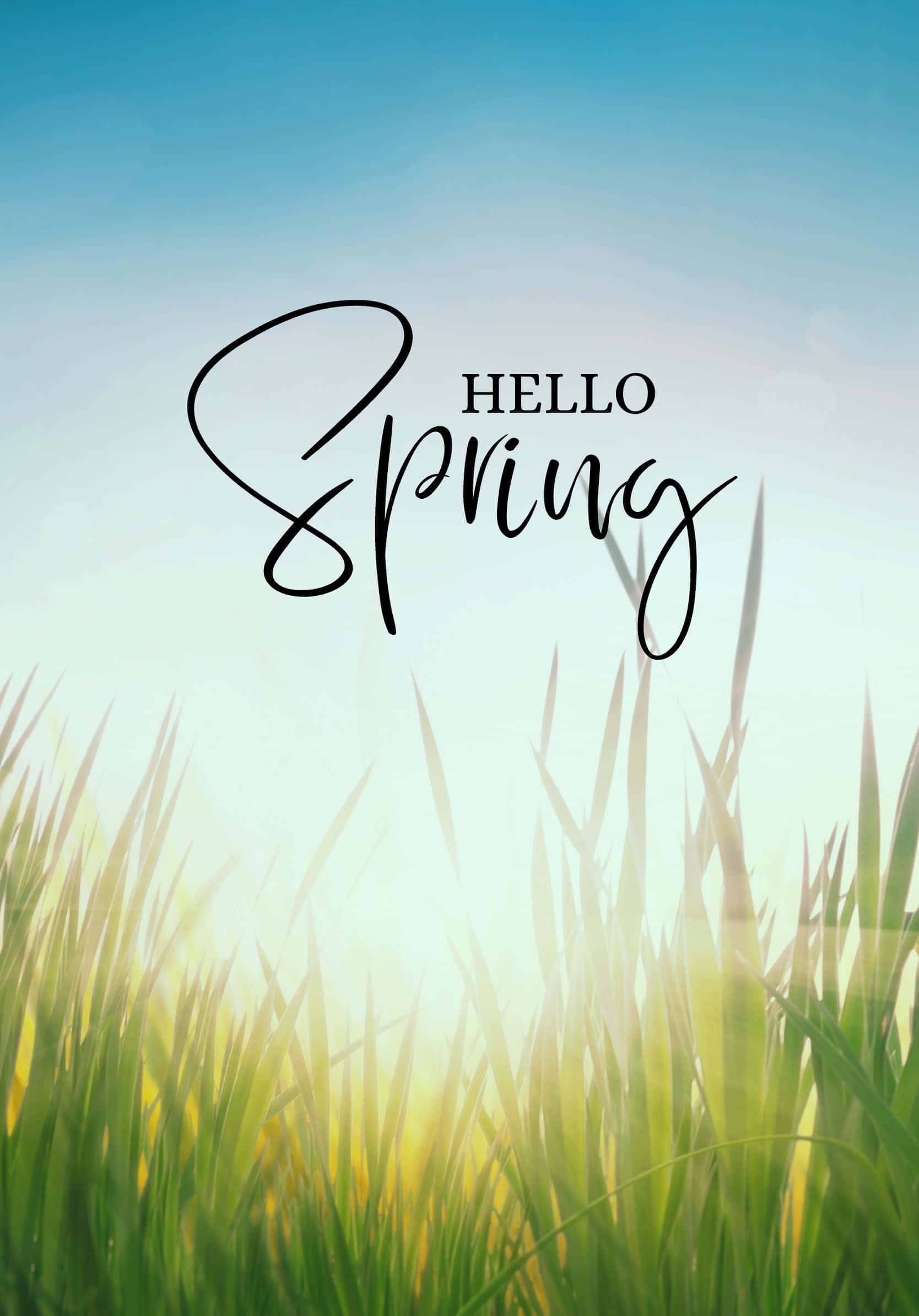 Hallo Beste Lente-wilde Grasse-agtergrond Muurpapier