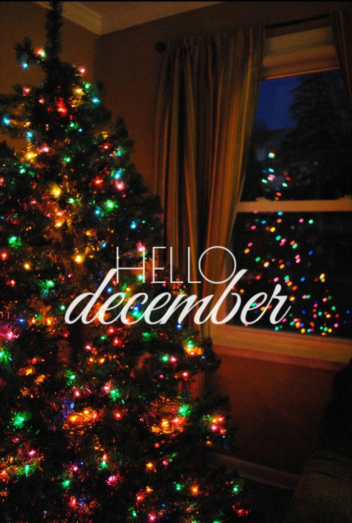 Hallo Desember Groot Kersboom Muurpapier