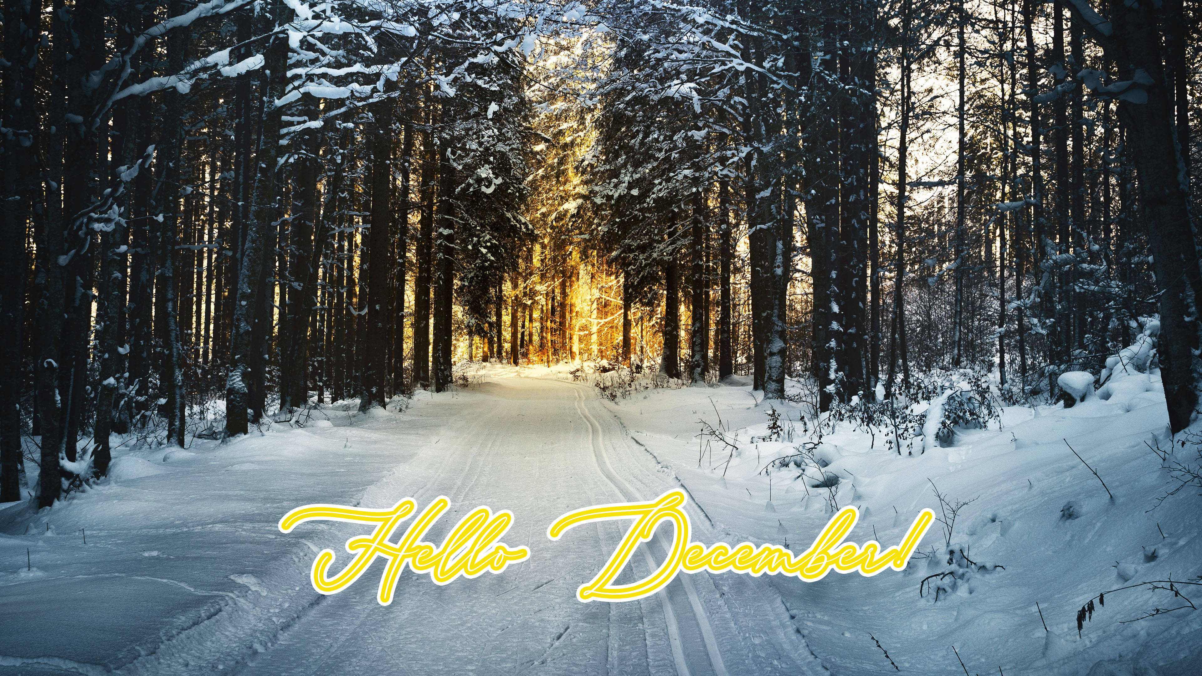 Hallo Desember Winterbos Muurpapier