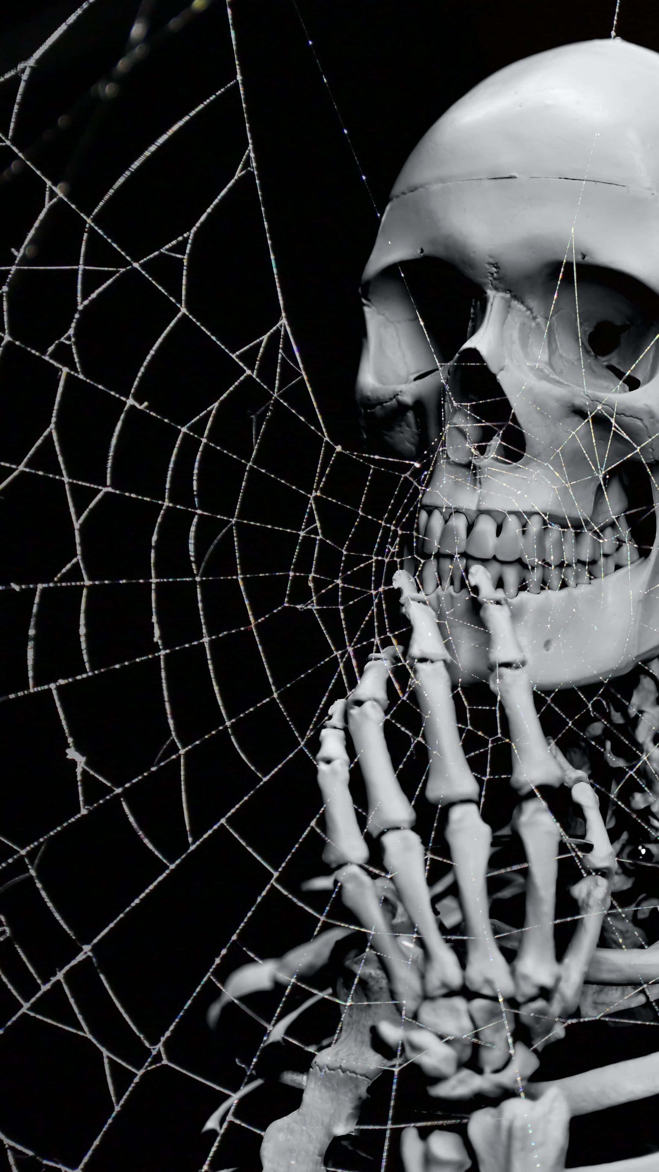 Halloween 2160 x 3840 agtergrond Muurpapier