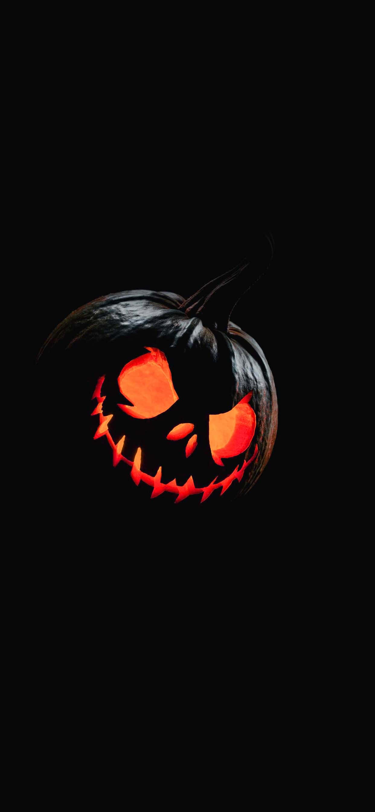 halloween pampoen agtergronde HD Muurpapier