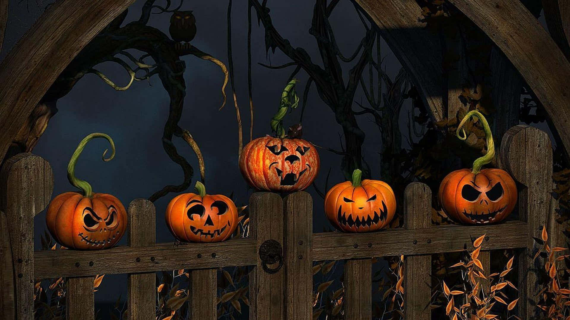 Halloween Teams Agtergrond Houtheining Muurpapier