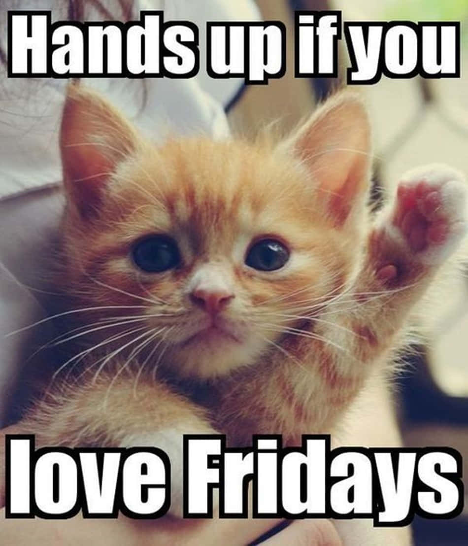 Hands Up As Jy Lief Is Vir Snaakse Vrydag Prentjie Muurpapier