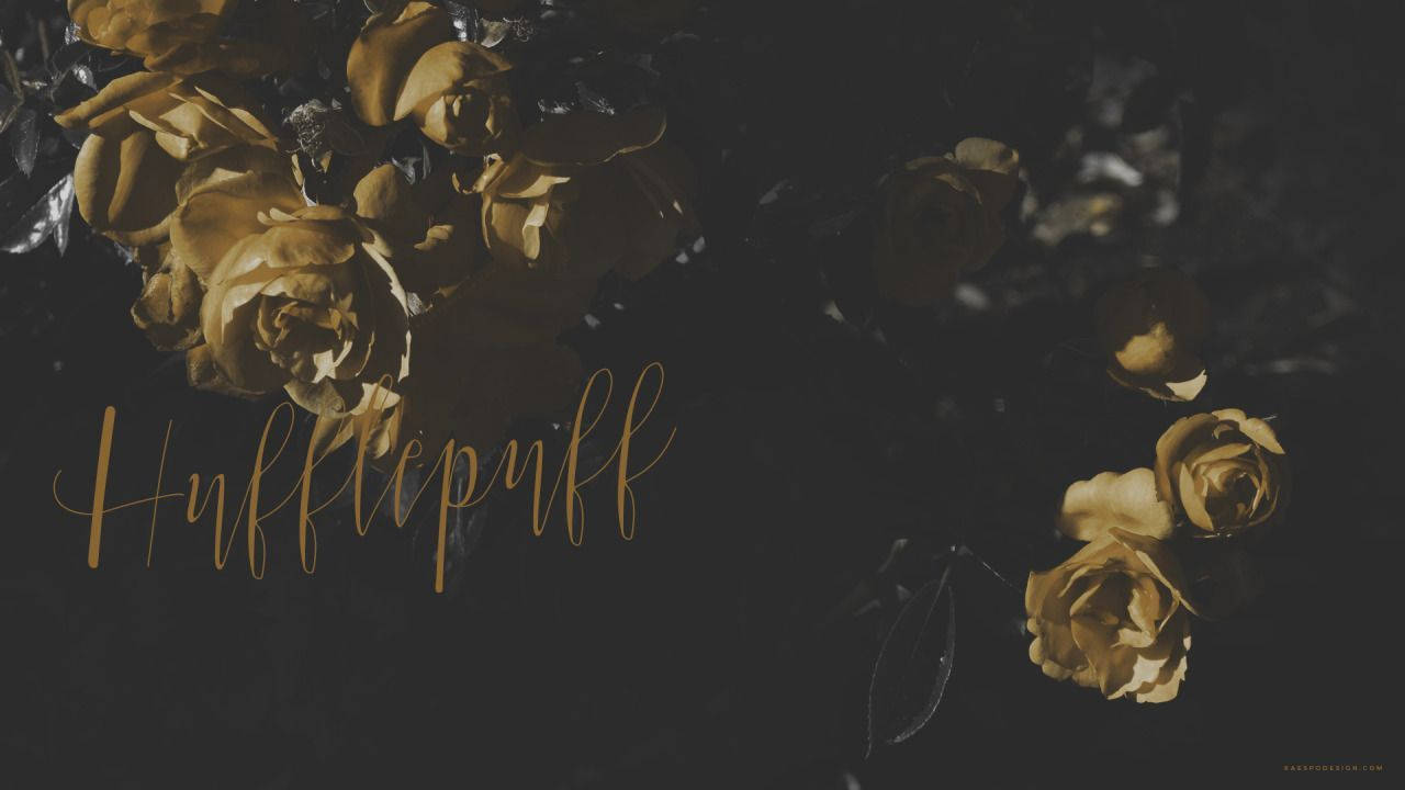 Harry Potter Esteties Hufflepuff Muurpapier