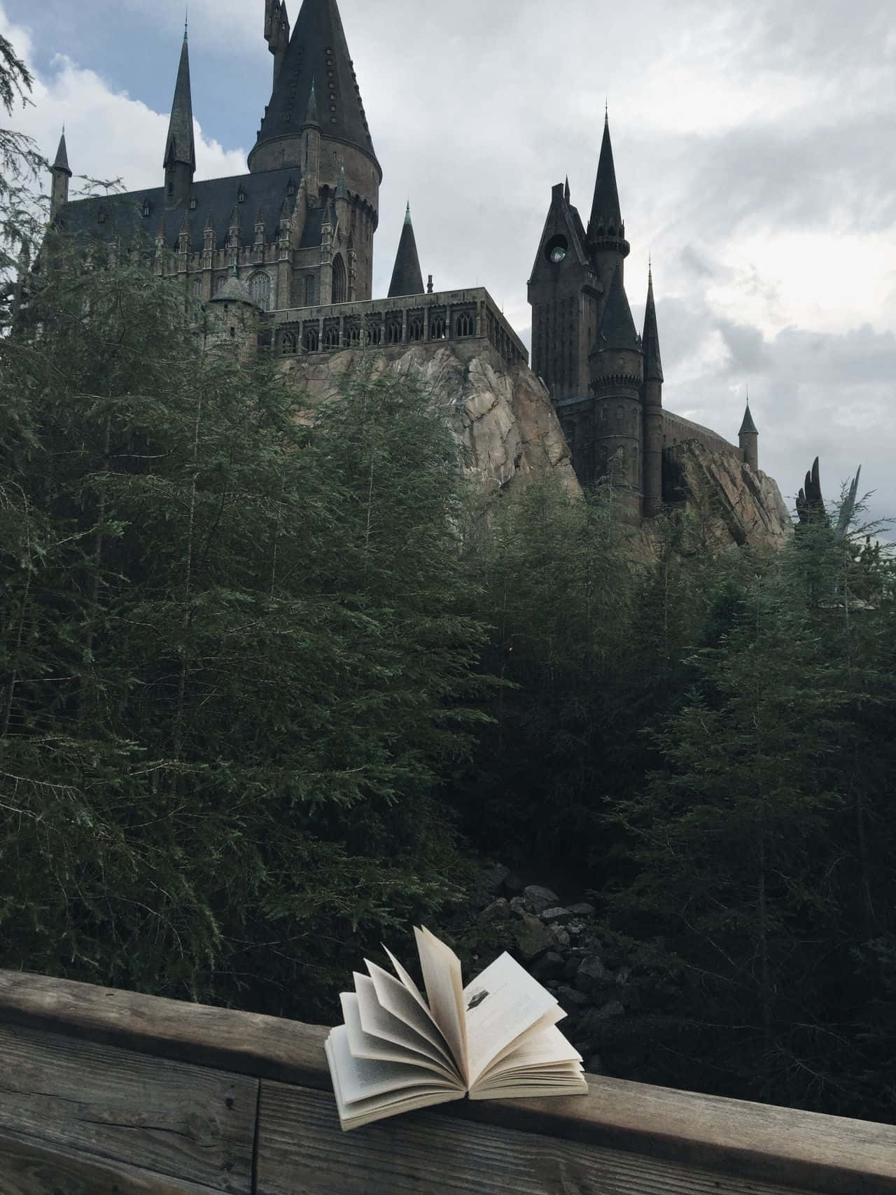 Harry Potter estetiese prente Muurpapier