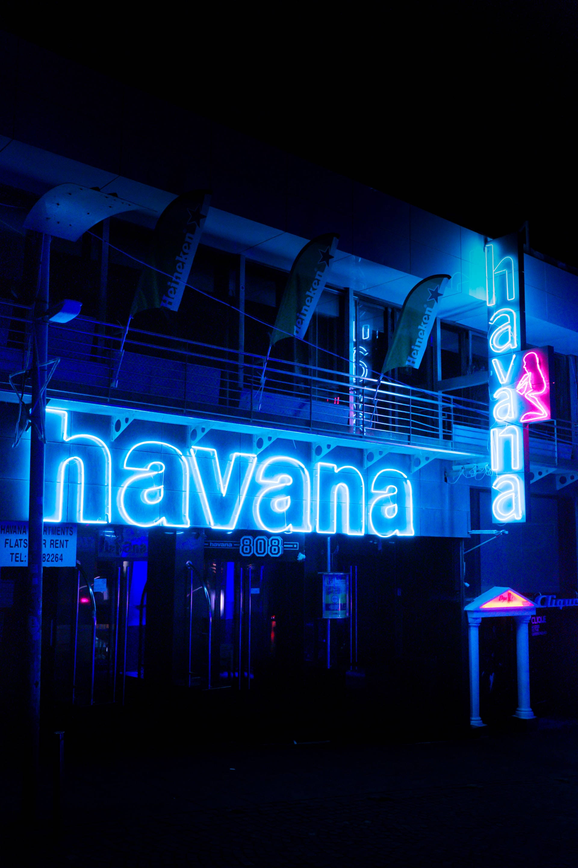 Havana in Neonblou iPhone Muurpapier