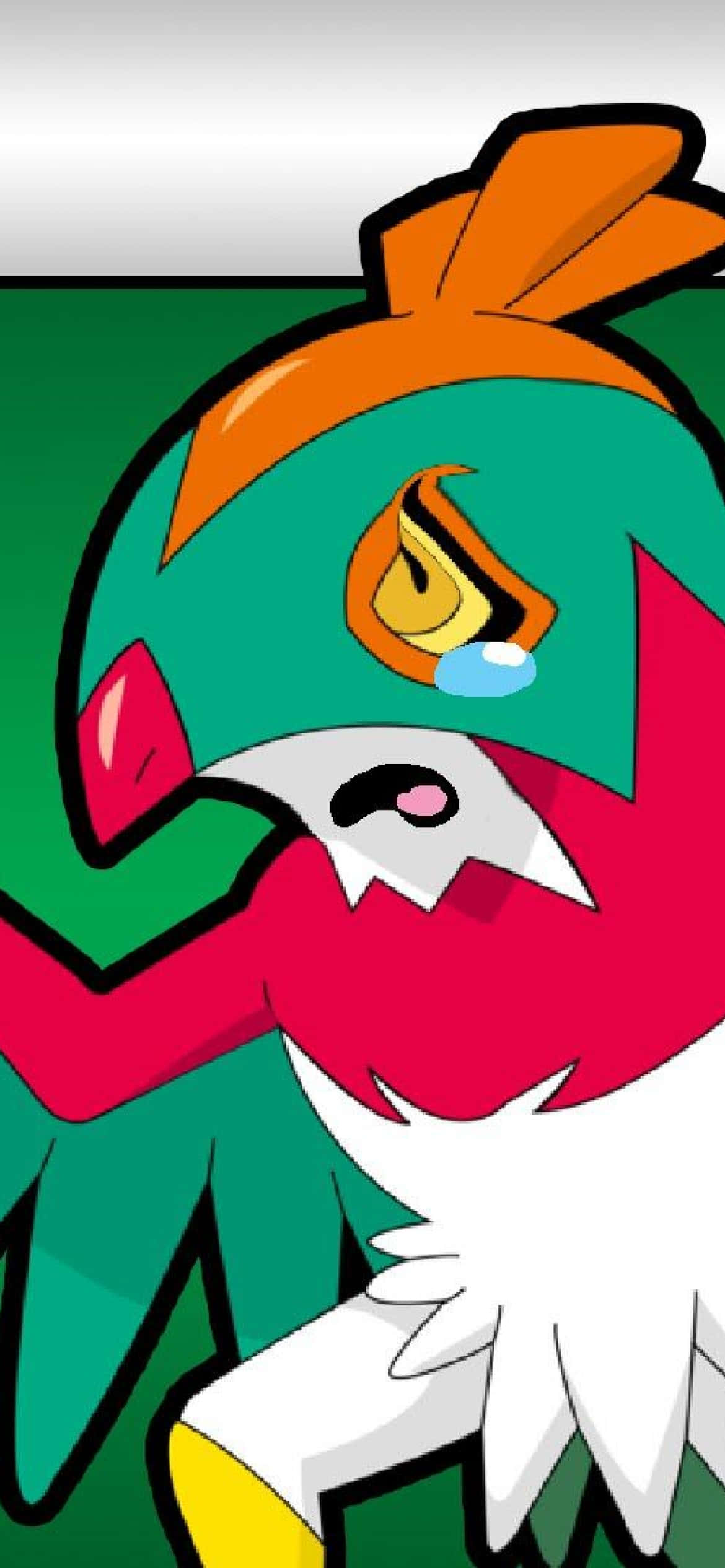 Hawlucha Foon Huil Muurpapier