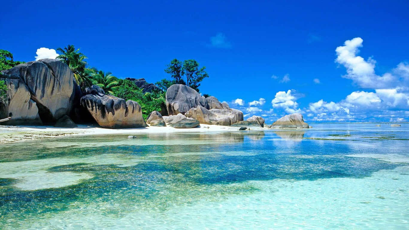 HD-strand eiland in Sri Lanka Muurpapier