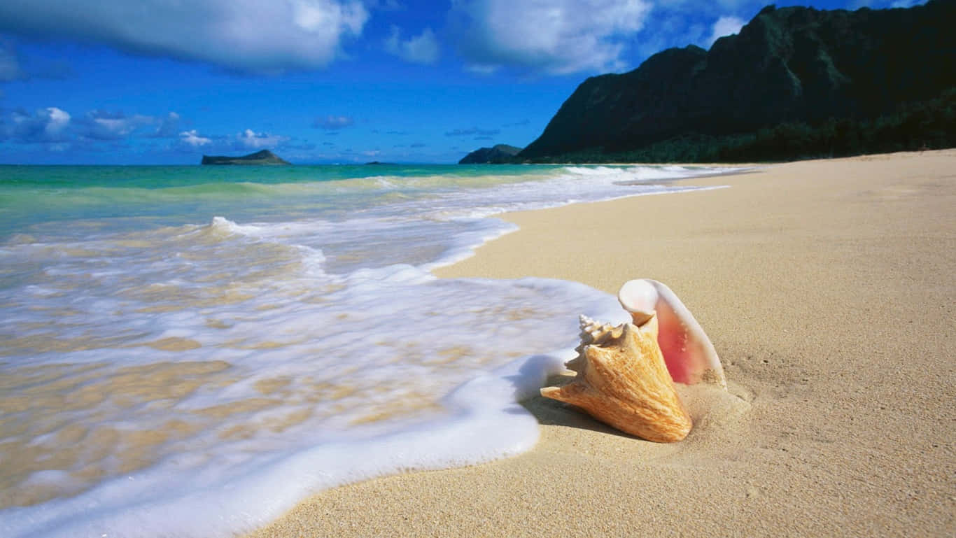HD Strand Met Oahu Skulp Muurpapier