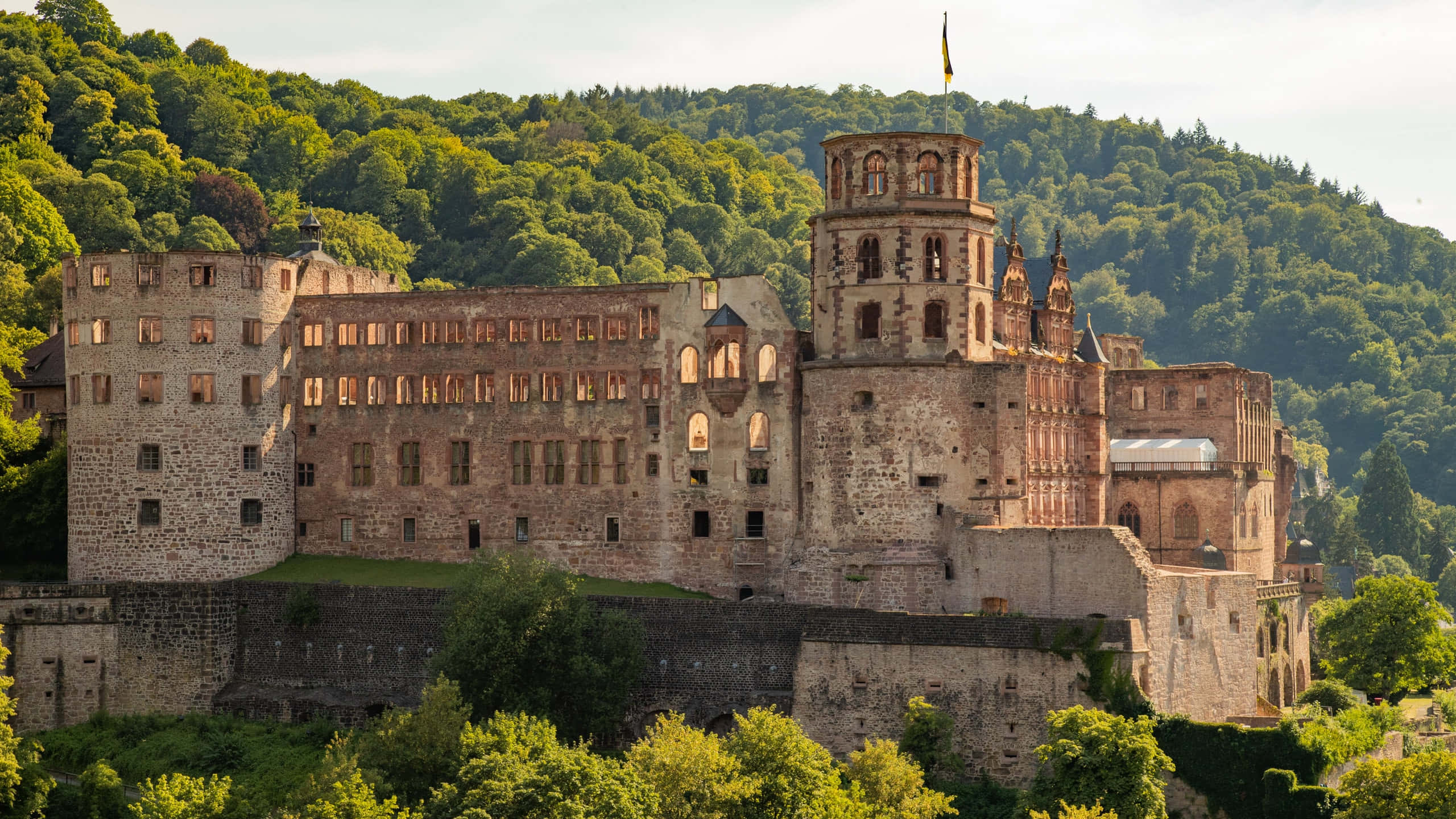 Heidelberg Kasteel in die Oggend Muurpapier