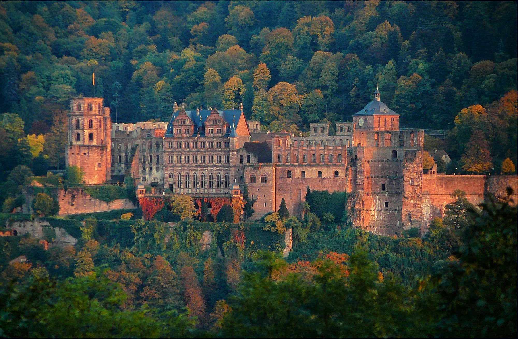 Heidelberg-kasteel met Herfsbome Muurpapier