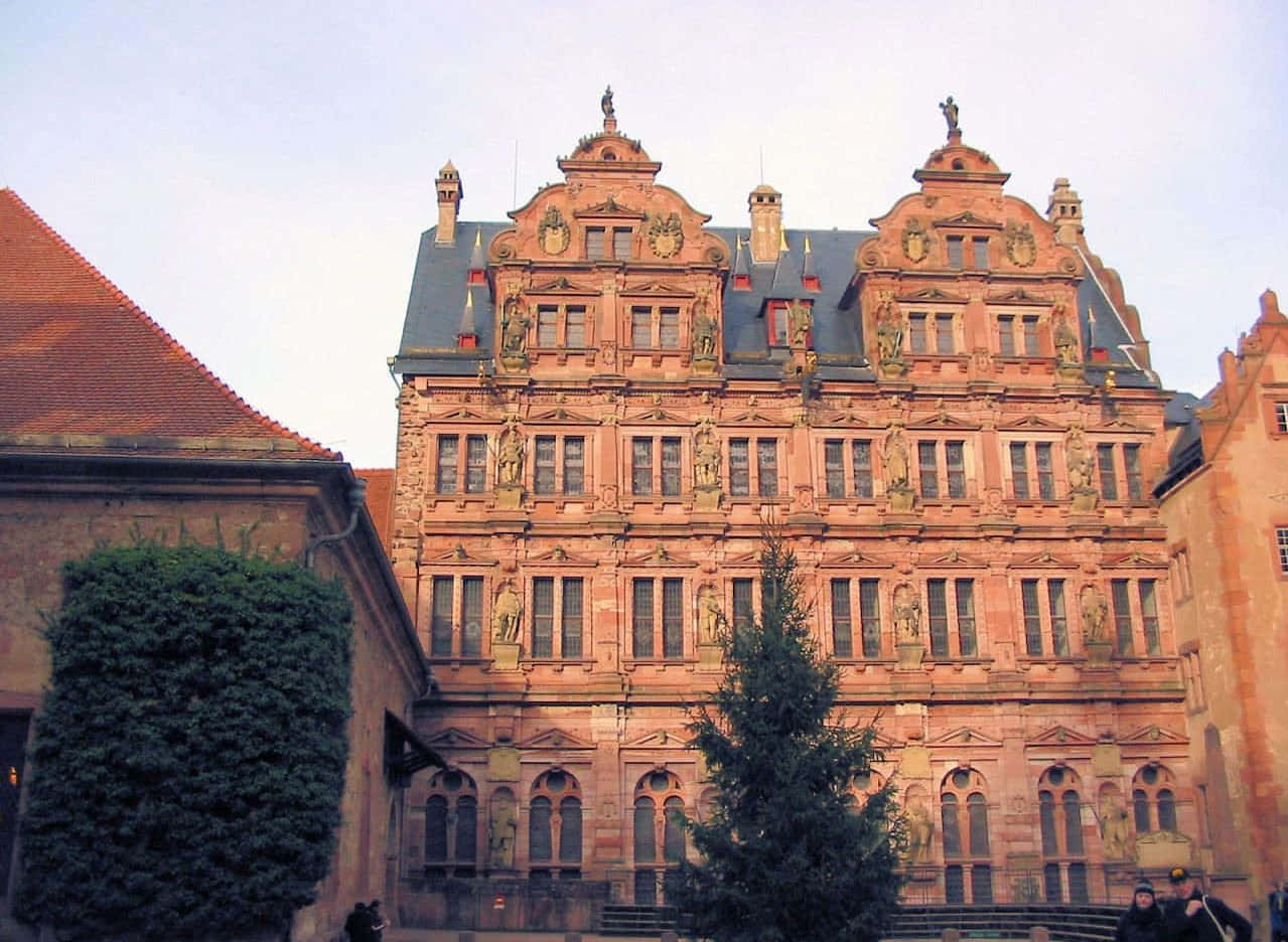Heidelberg-kasteel se wurmperspektief Muurpapier