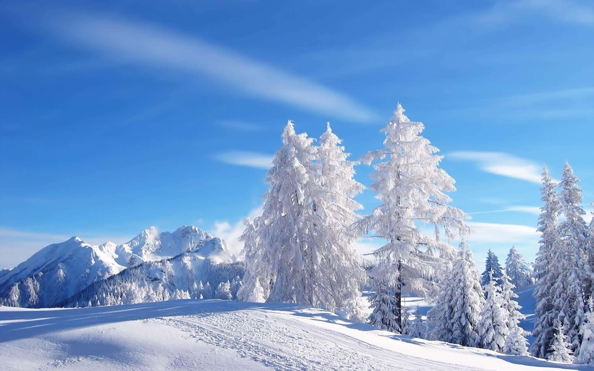 Helder Lug in Winter Wonderland Agtergrond Muurpapier