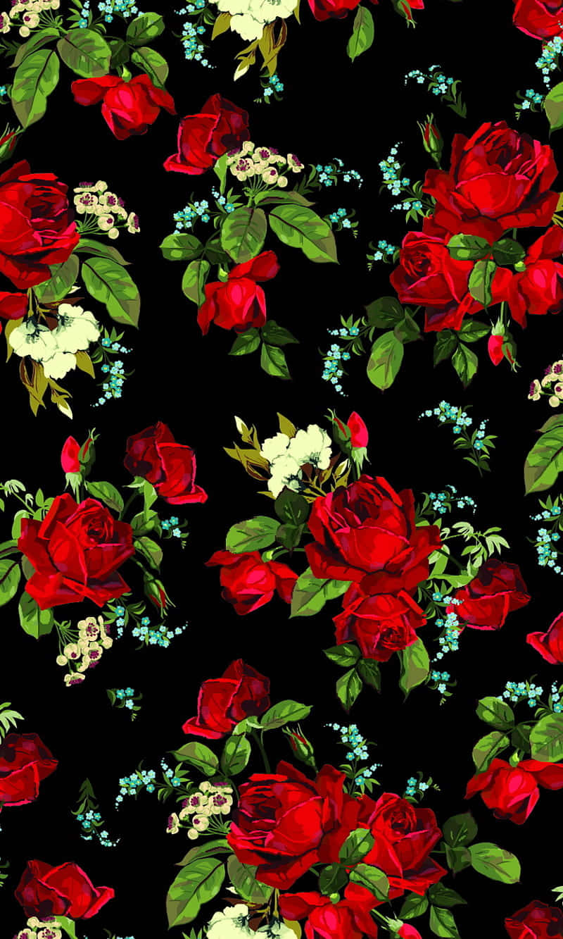 Helderrooi Rose, Perfek vir Enige Geleentheid Muurpapier