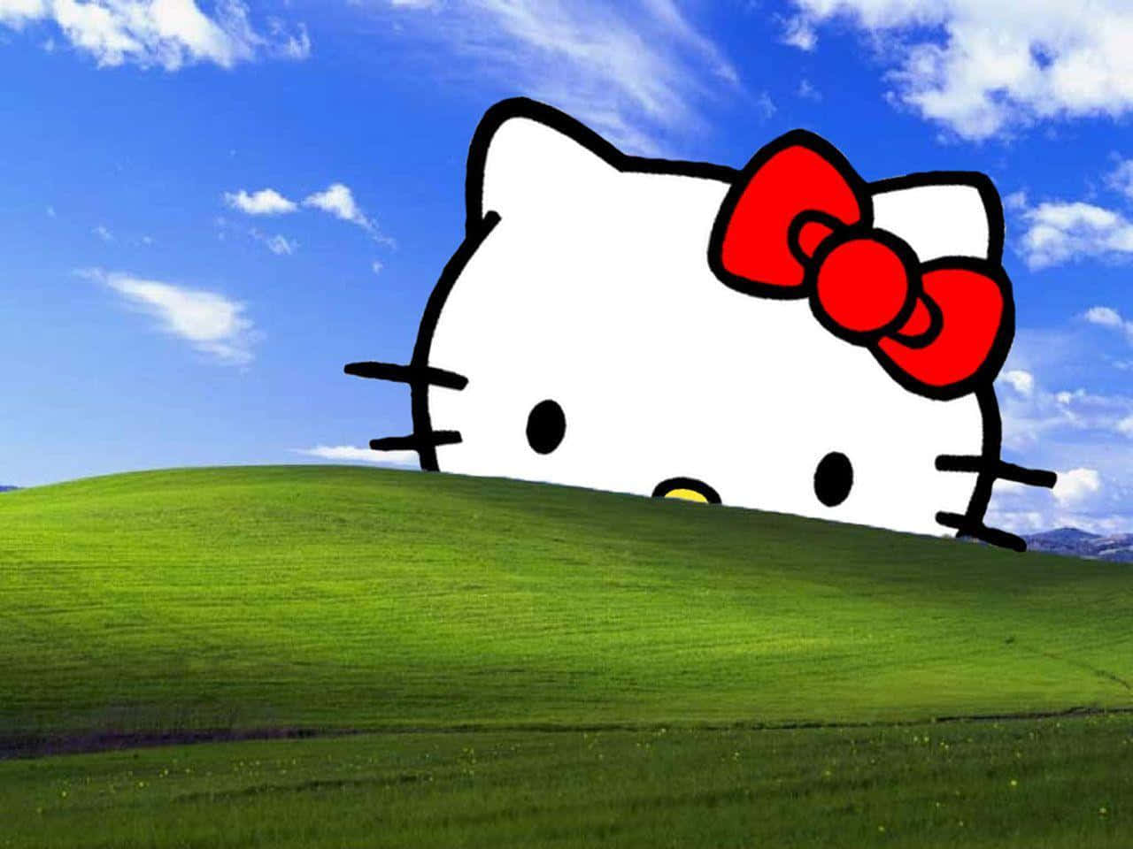 Hello Kitty Skoottervenster Heuwel Muurpapier