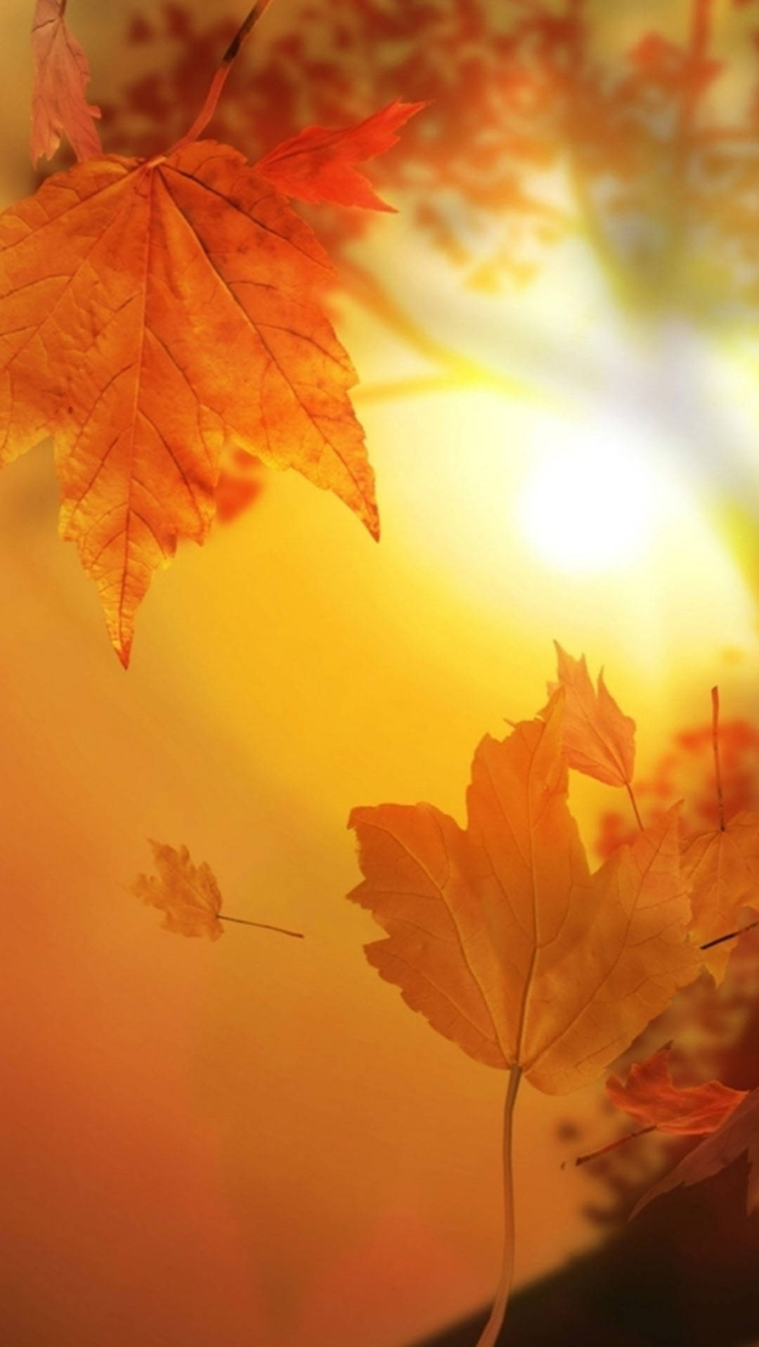 Herfs iPhone Drywende Esbome Muurpapier
