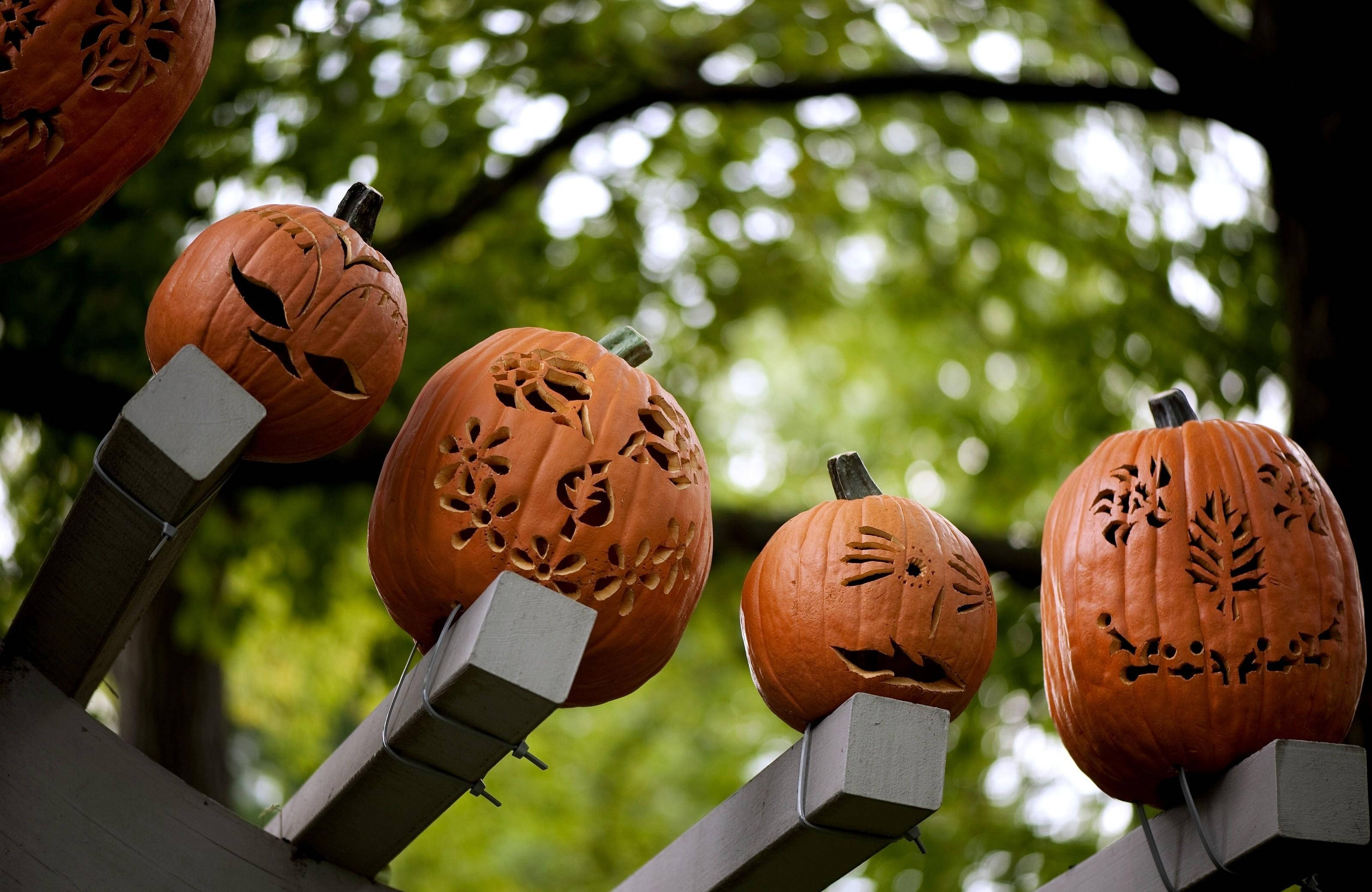 "Hierdie grillerige pampoene sal verseker 'n vreesaanjaende skrik hierdie Halloween bring!" Muurpapier